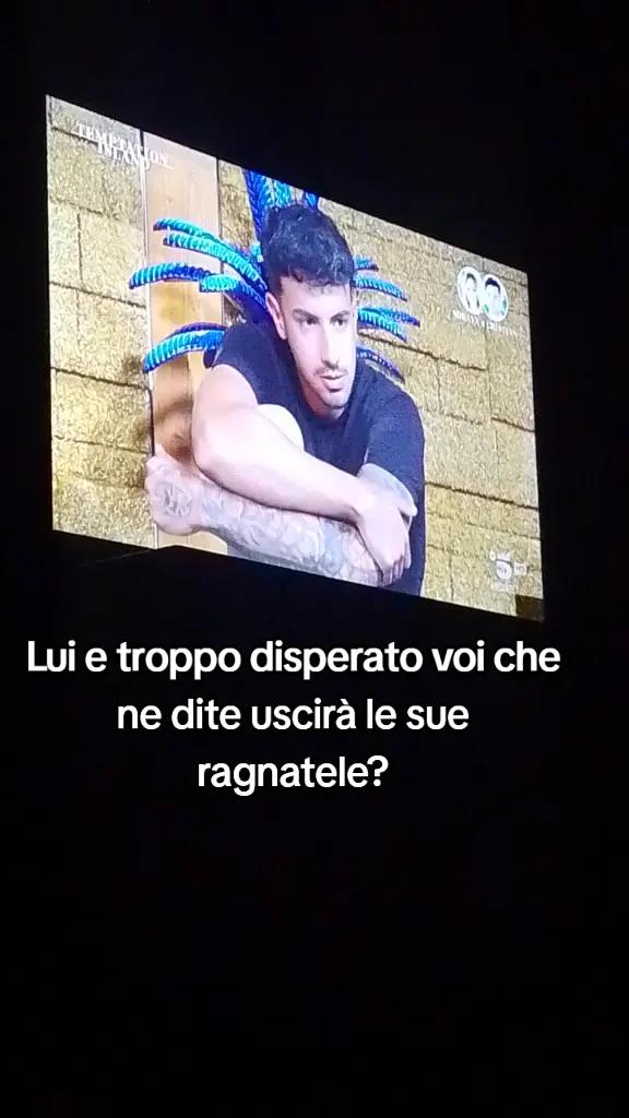 @il principino