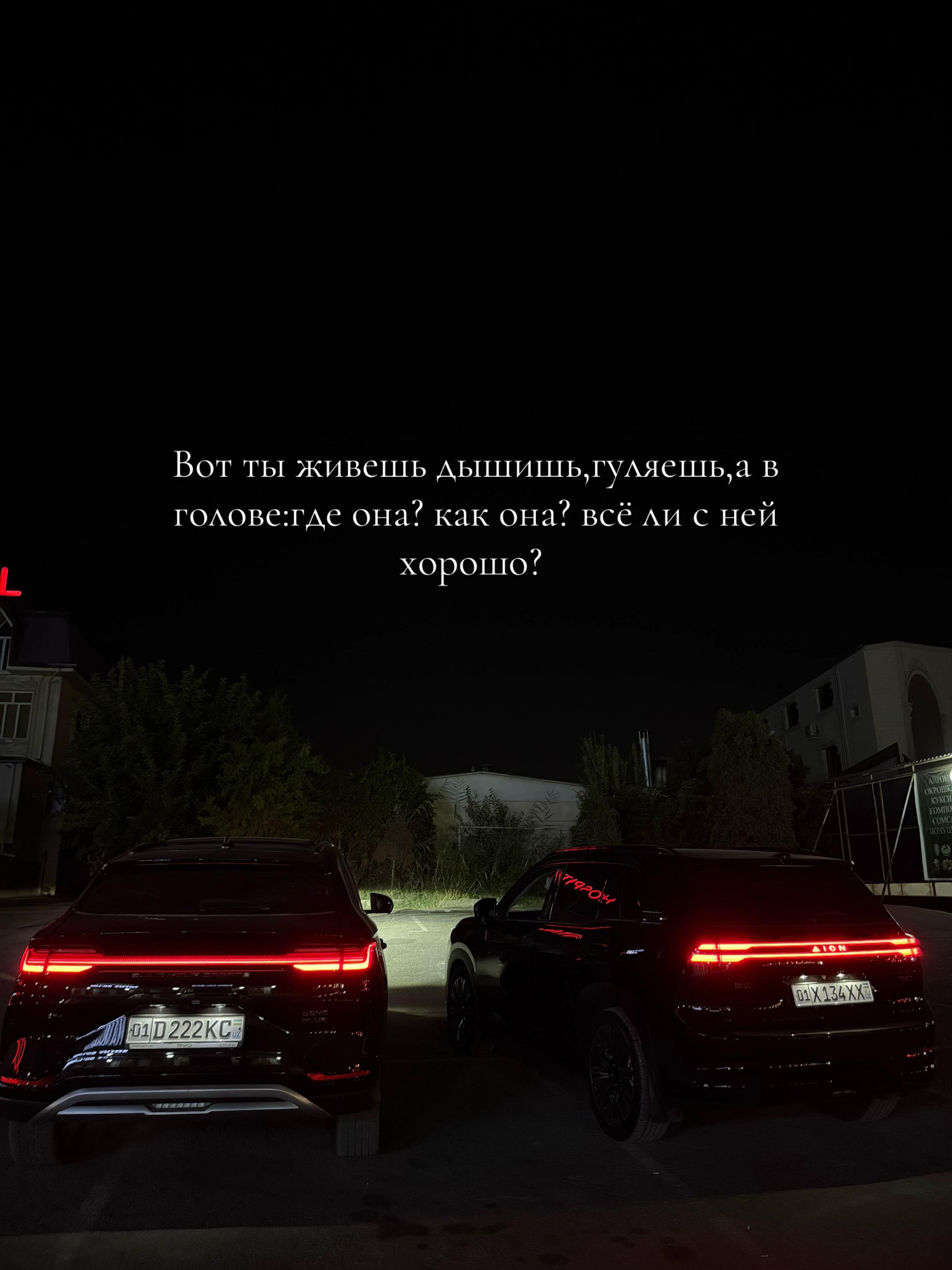 @ubaydullayevscars