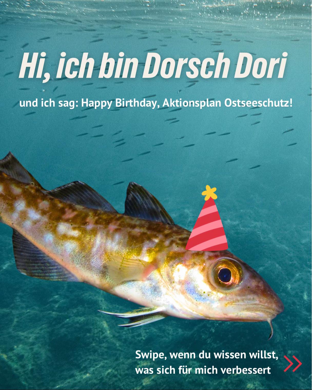 @Gr&uuml;ne Fraktion S.-H.