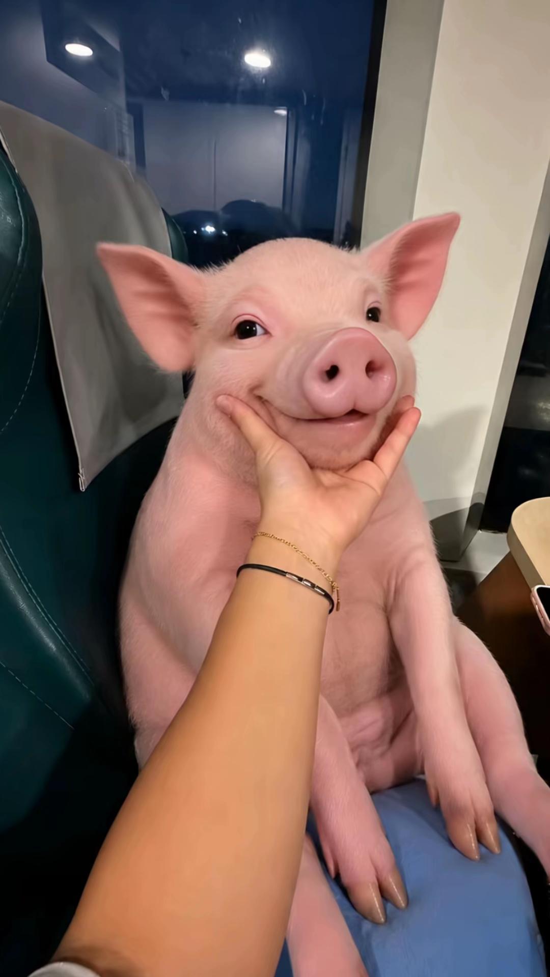 @𝐁𝐚𝐝𝐝𝐢𝐞𝐬