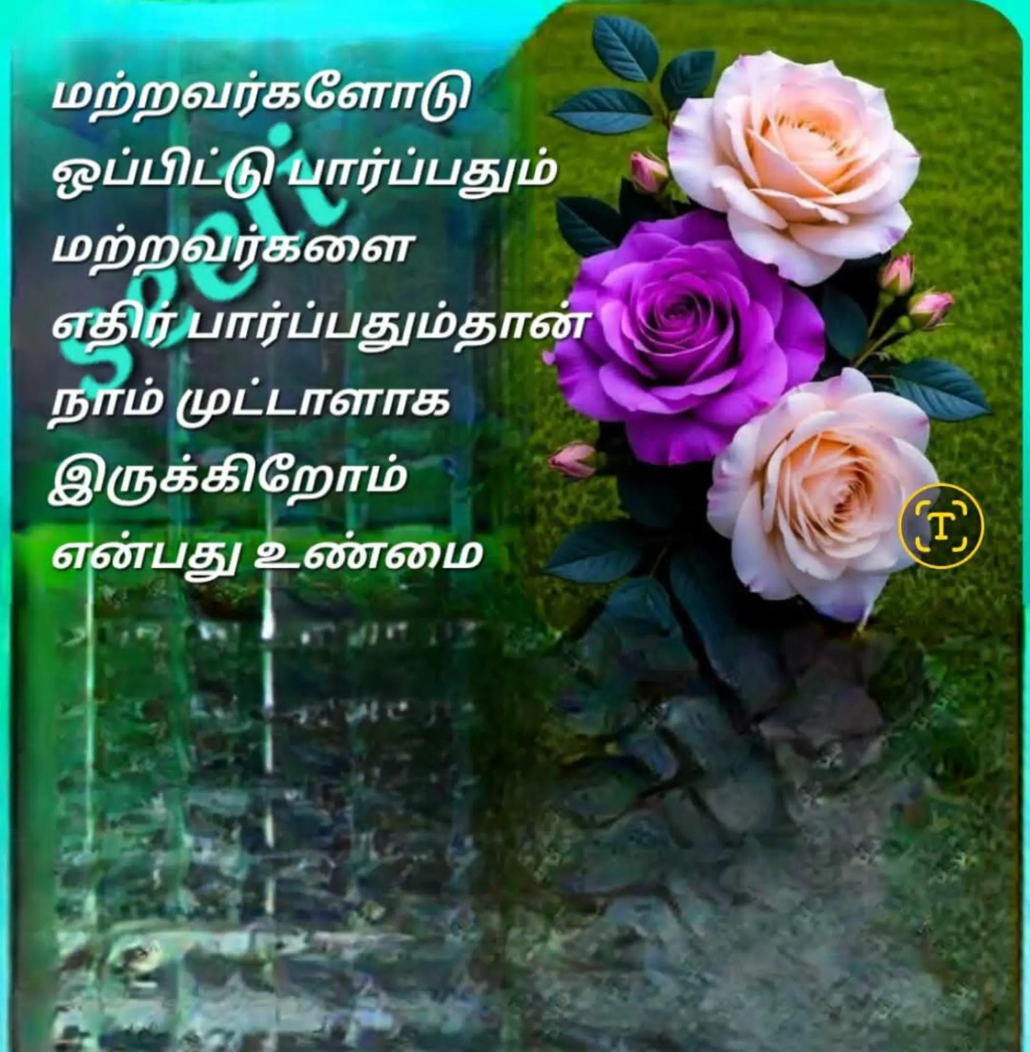 @sinna seeli