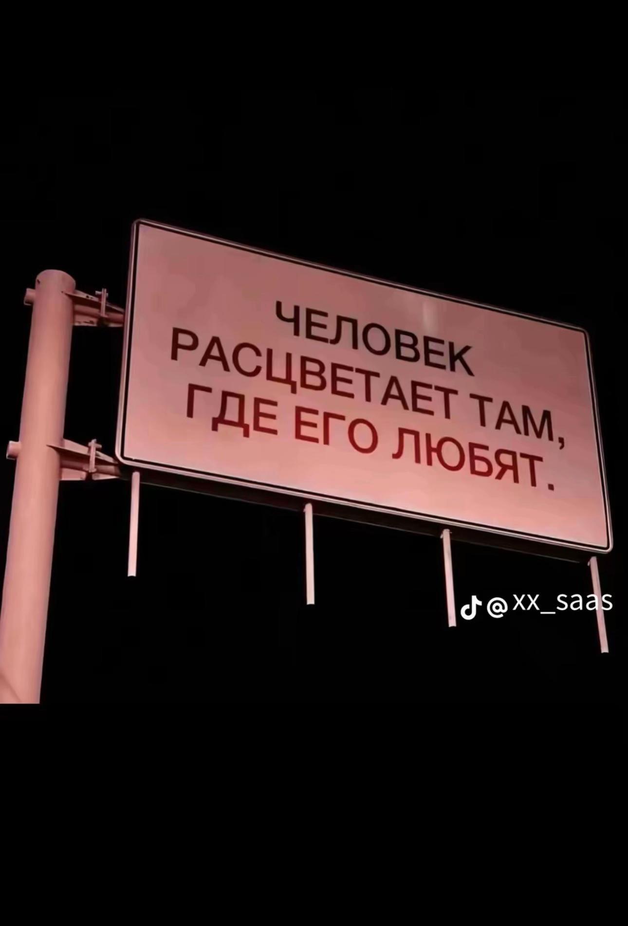 @nnn🐾