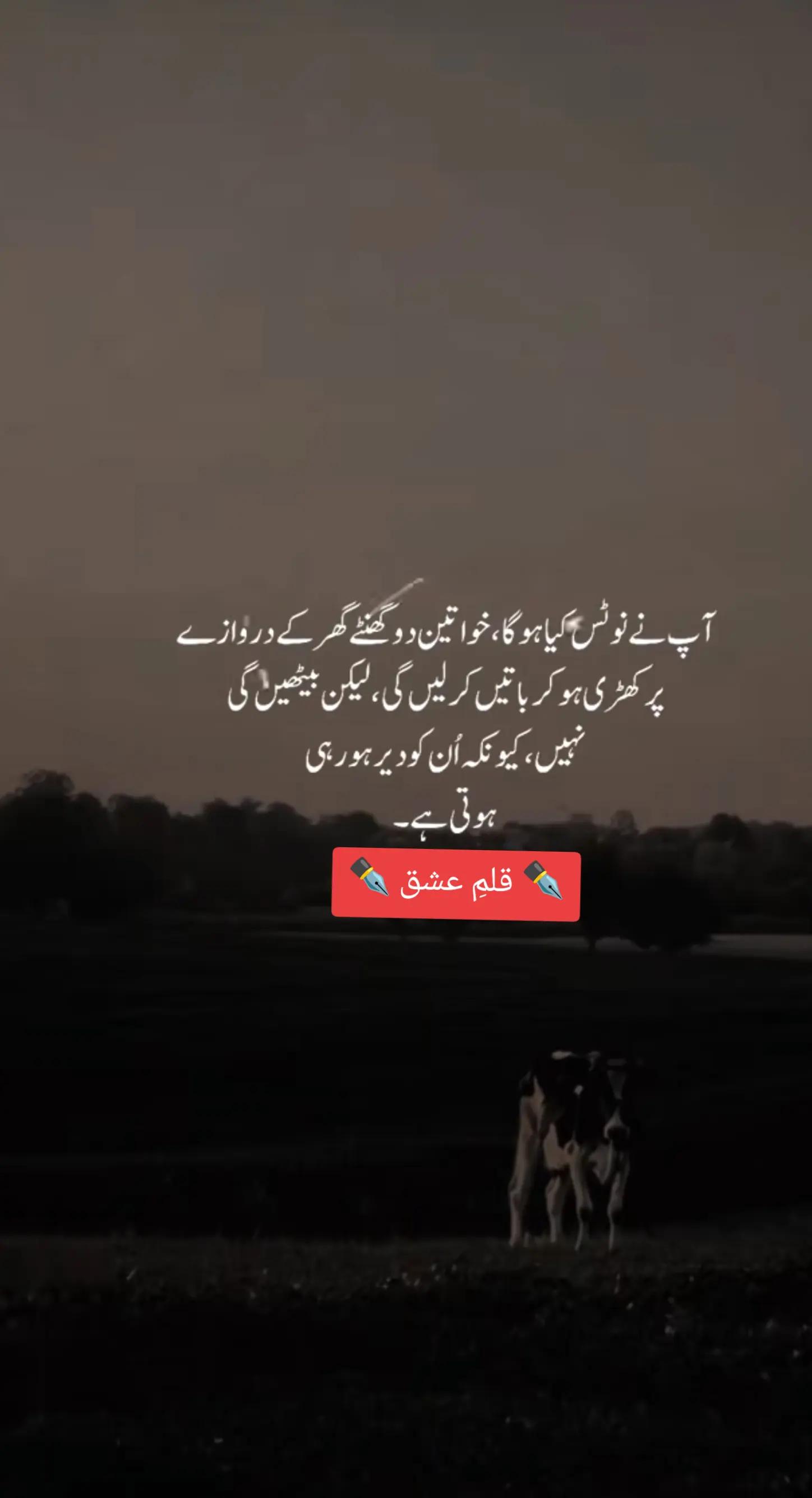 @✒️ قلمِ عشق ✒️