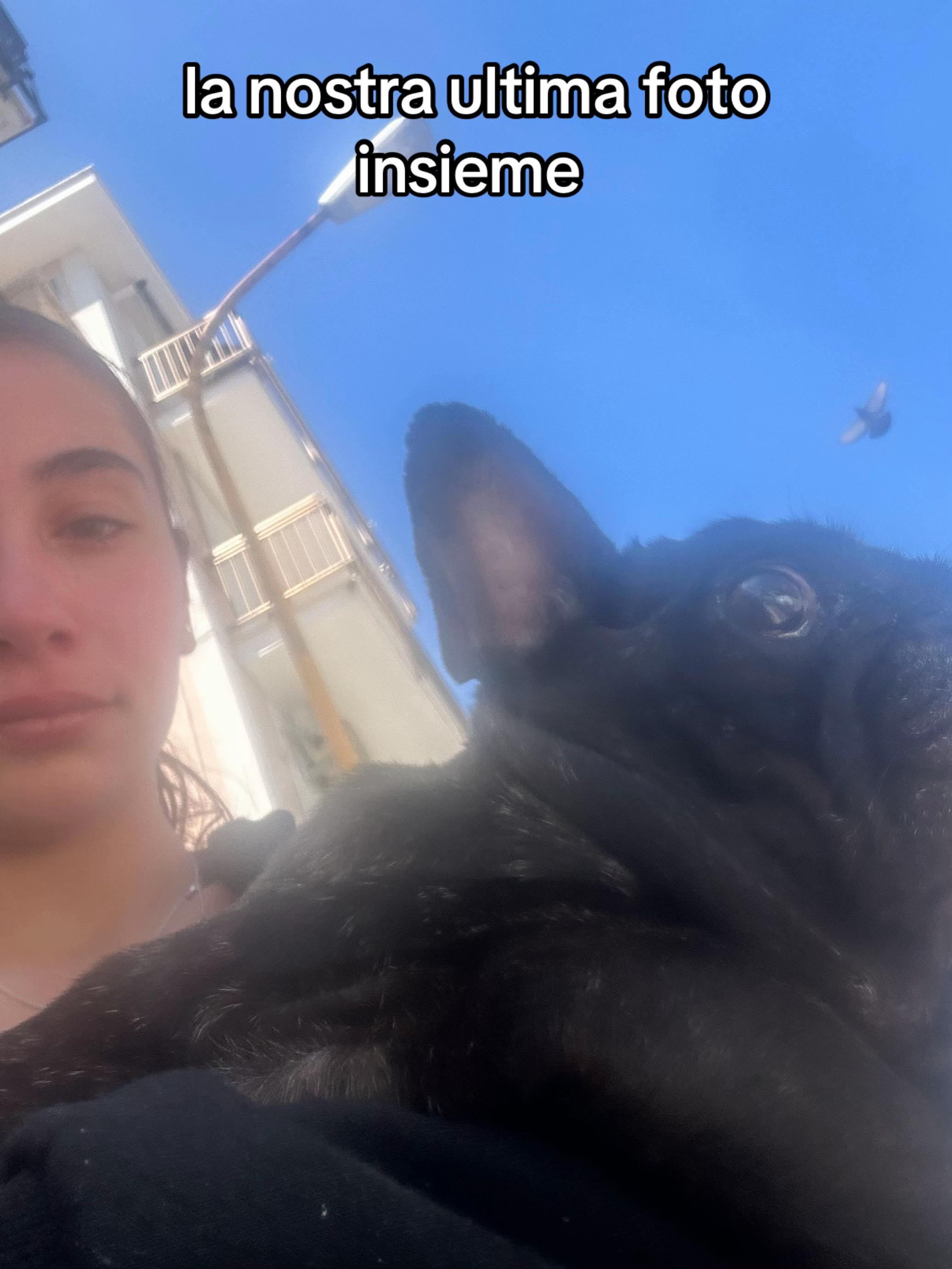 @_giuliia2