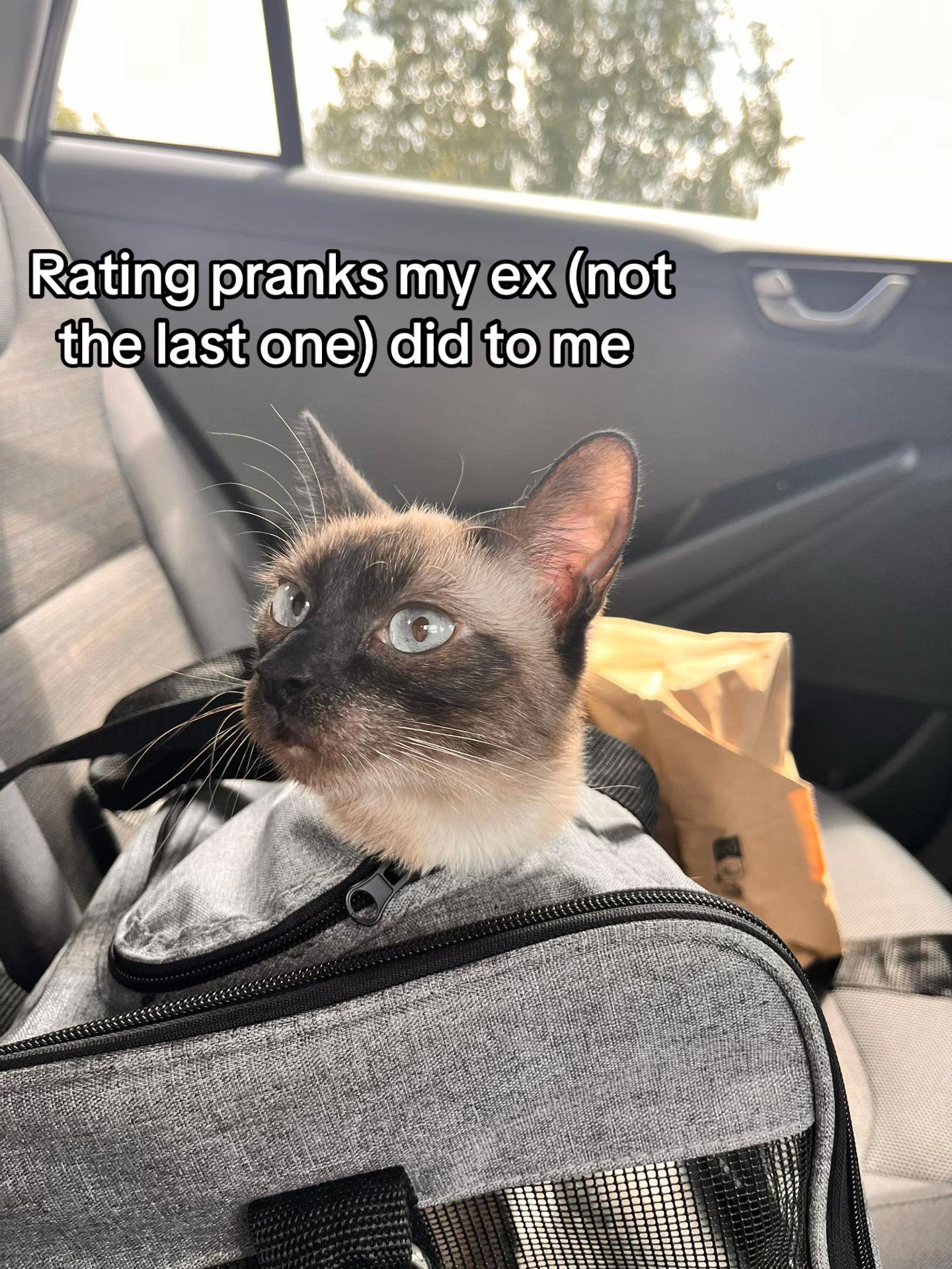 @Meow