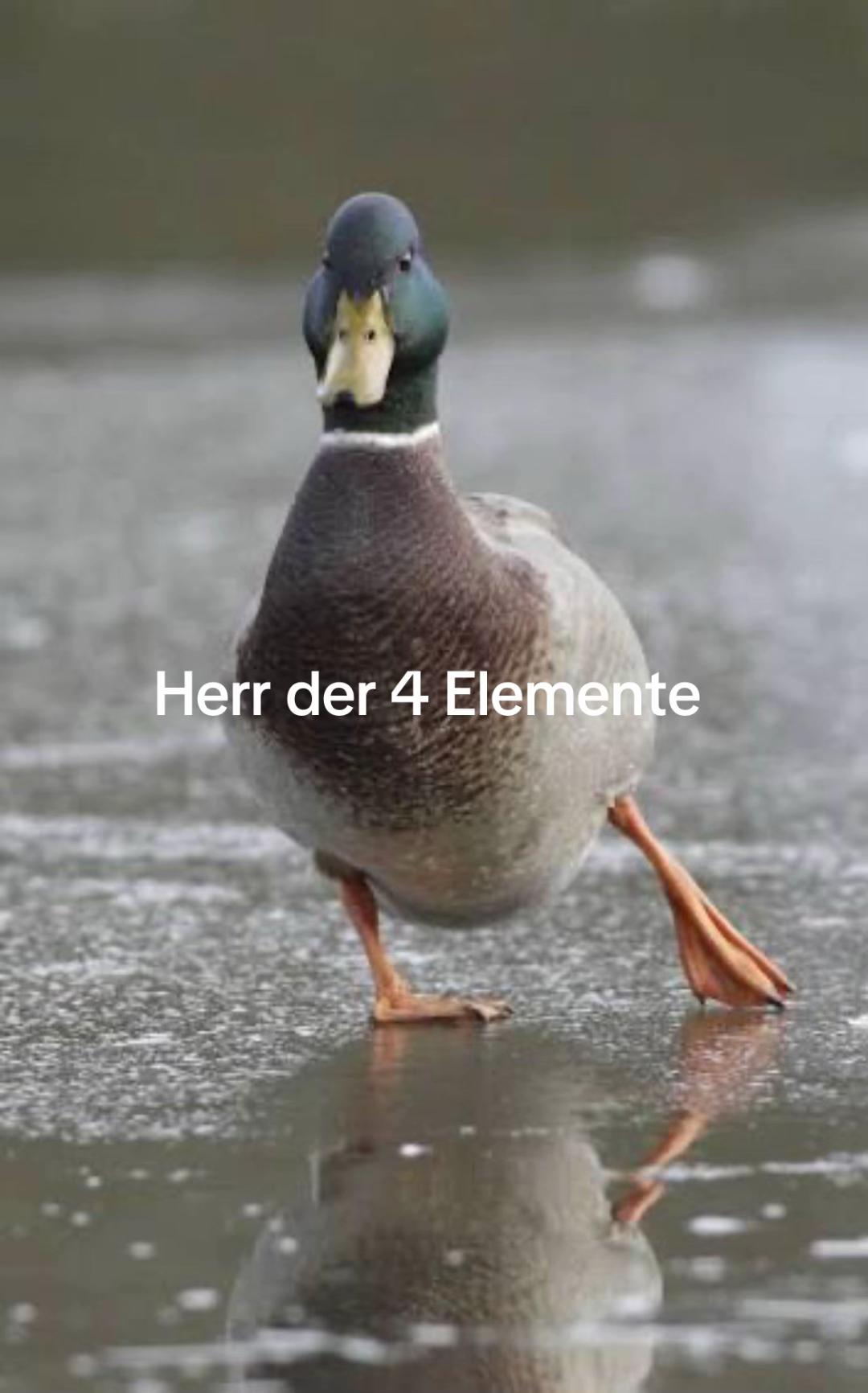 @Johann Schach