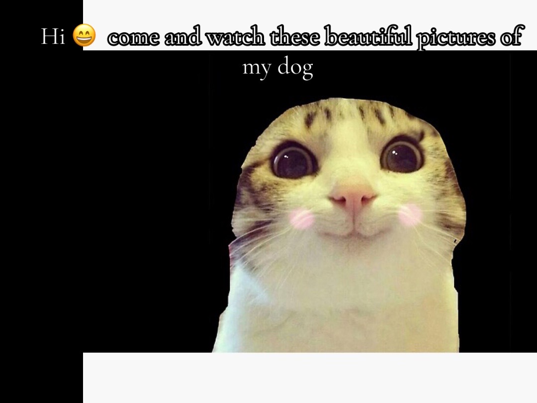 @๐๐๐๐