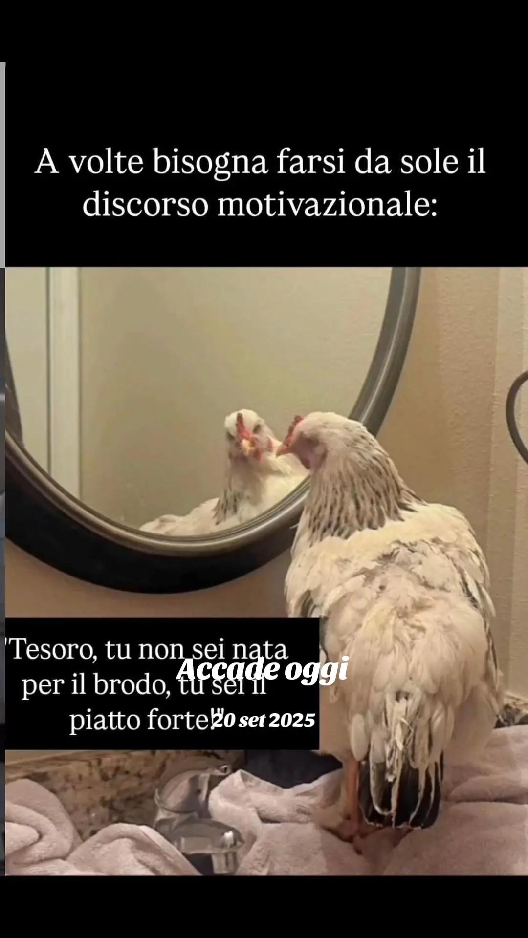 @mariaFanciulli615