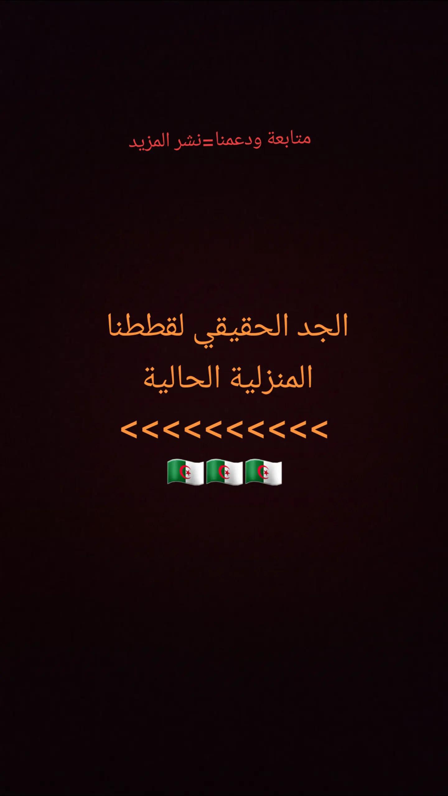 @ramziaouadj93