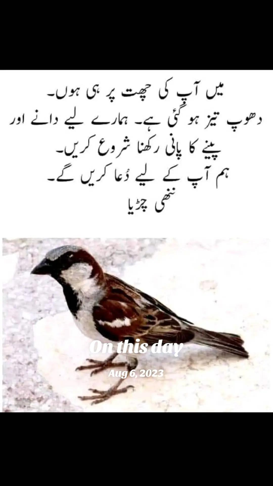 @Arshad Khan