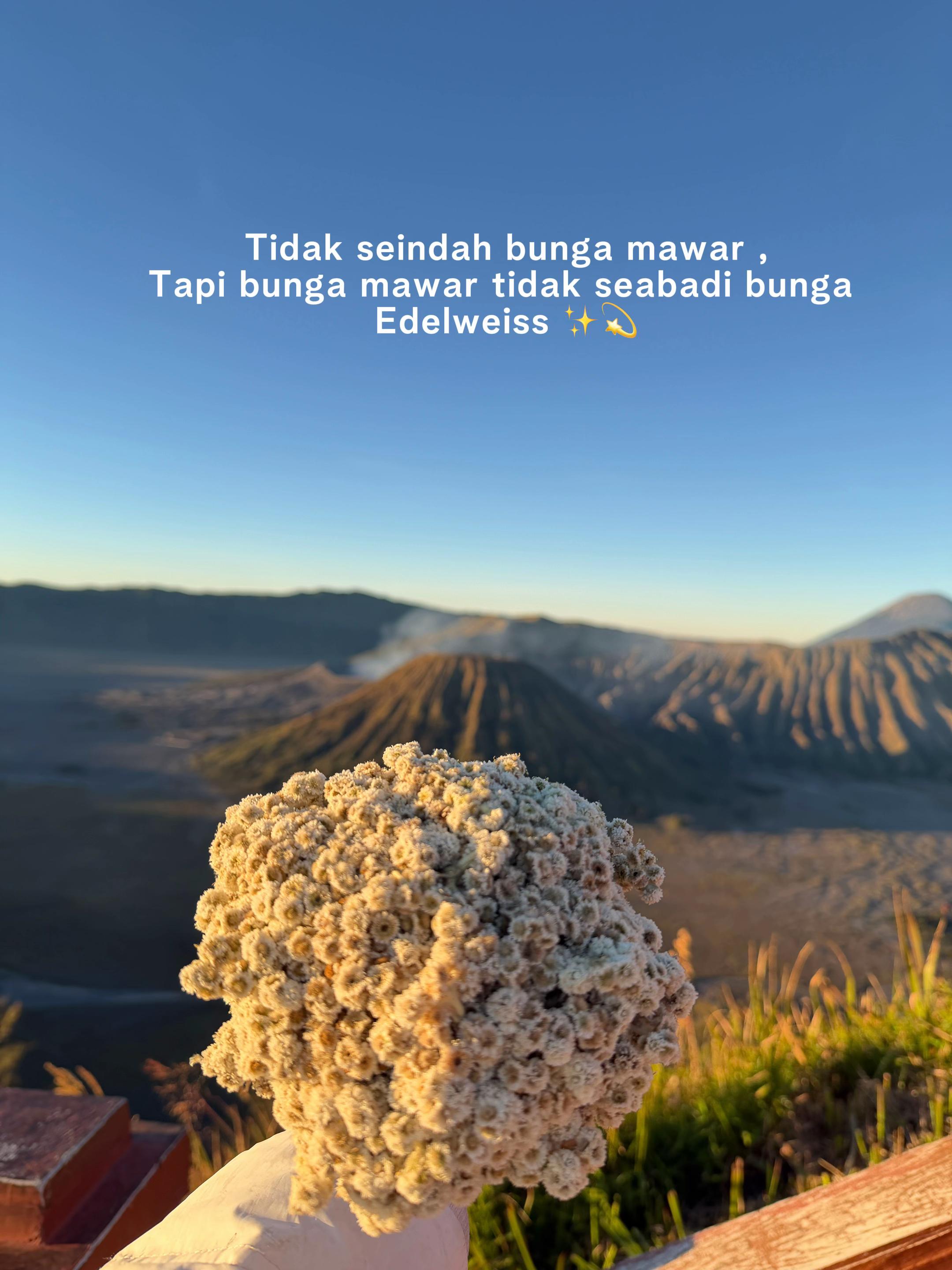 @Sulistiya ✨