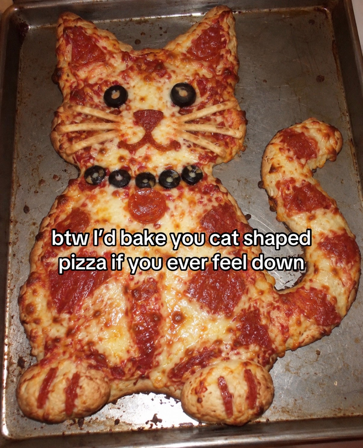 @cat memes