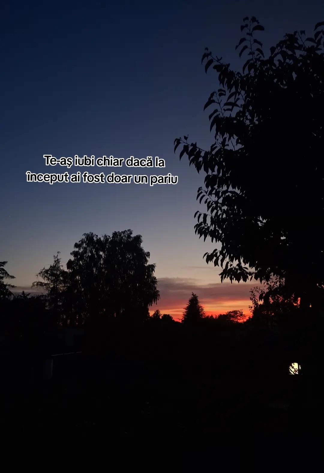 @Maia🧚♂️