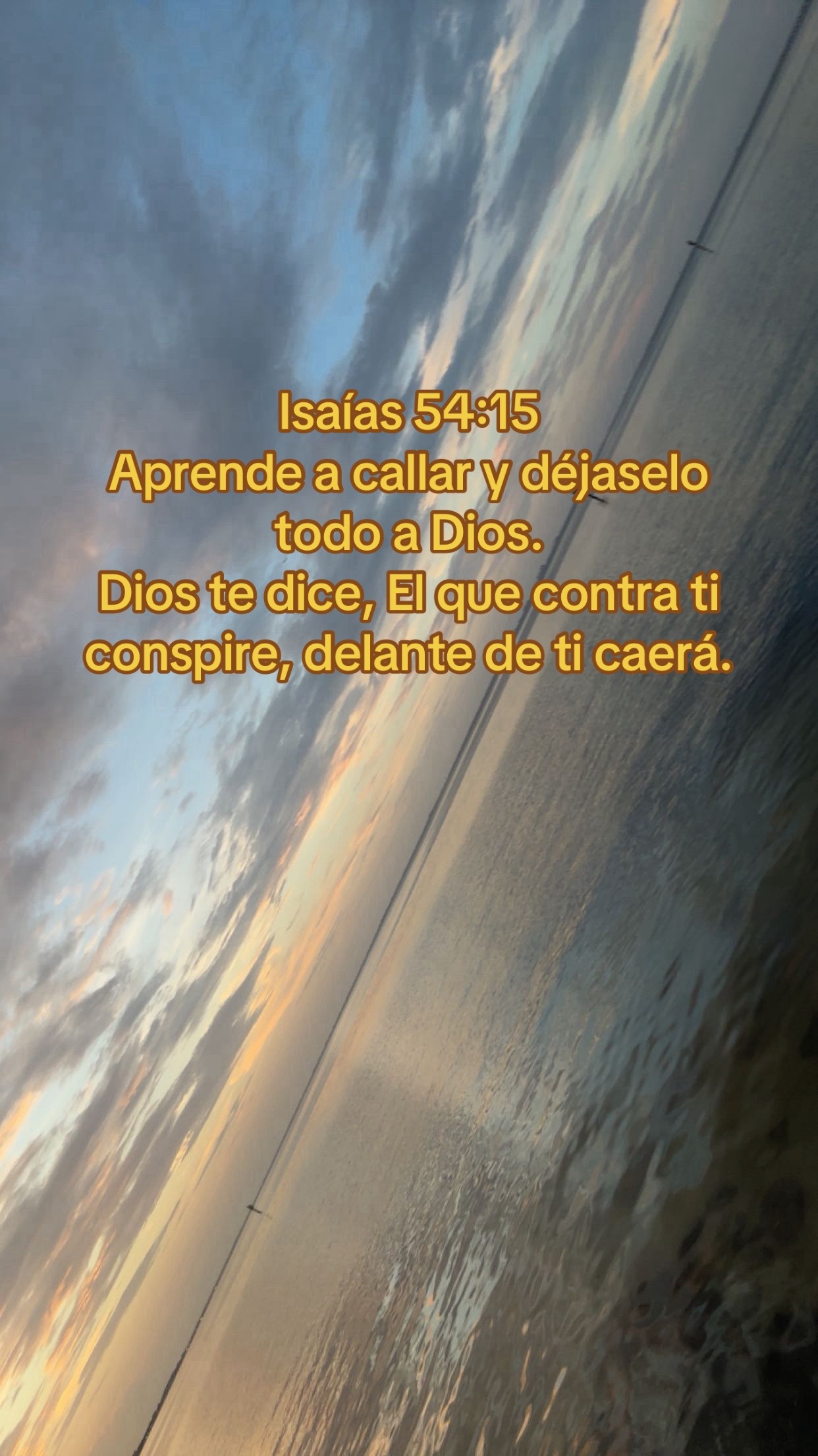 @camaleon20.06