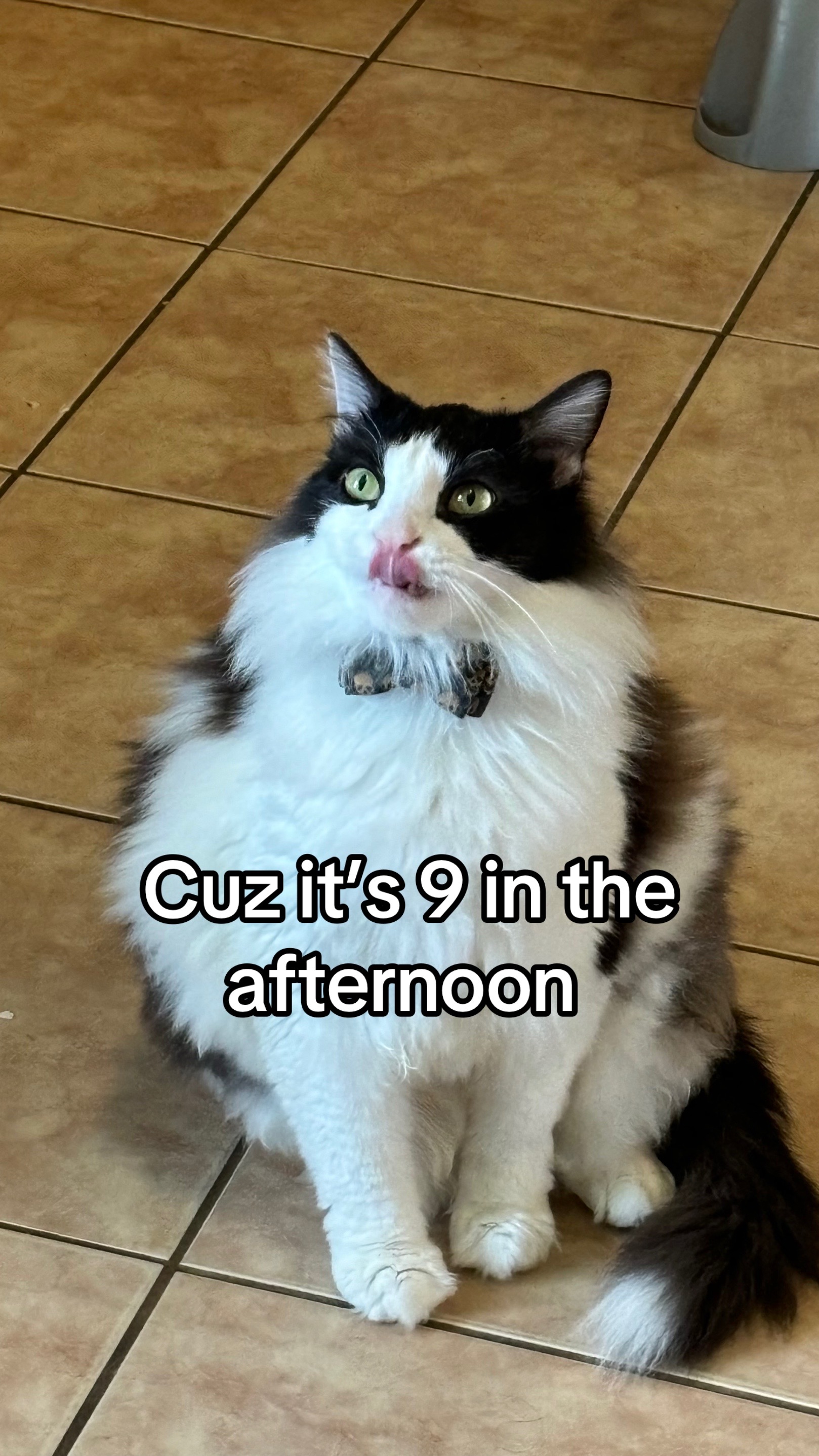 @lordanguz