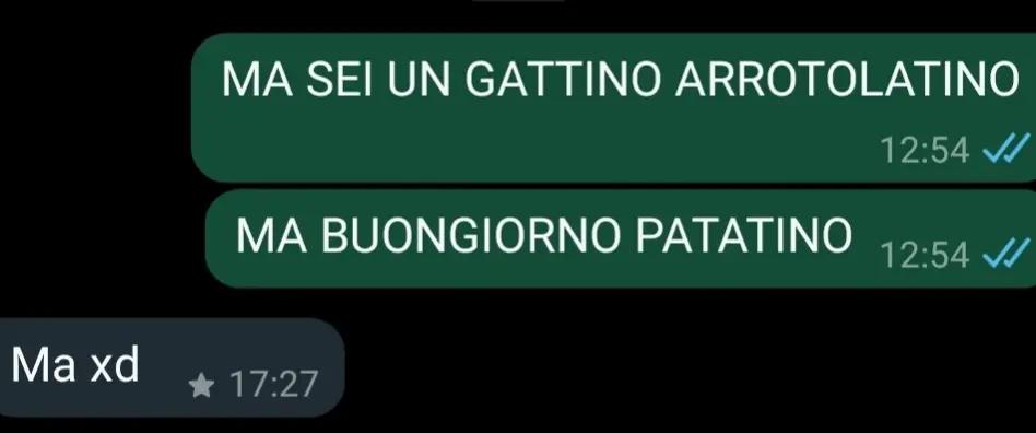 @Noetta🪸🐚