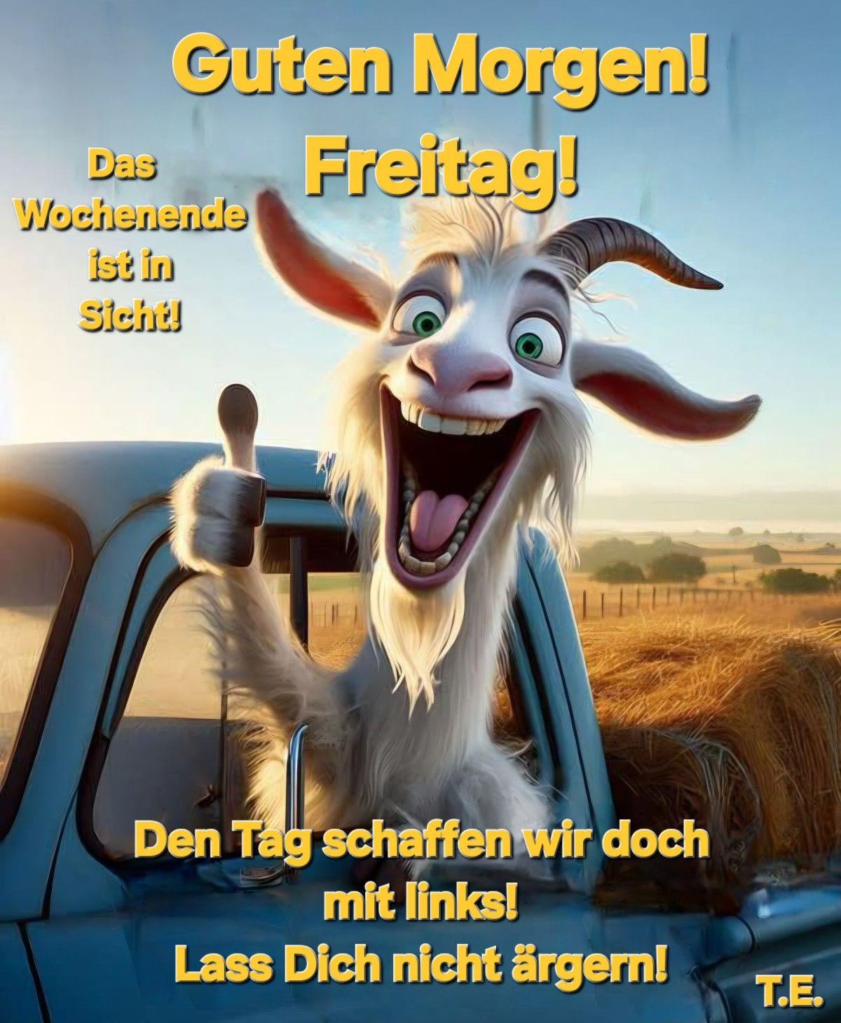 @Bernd ku