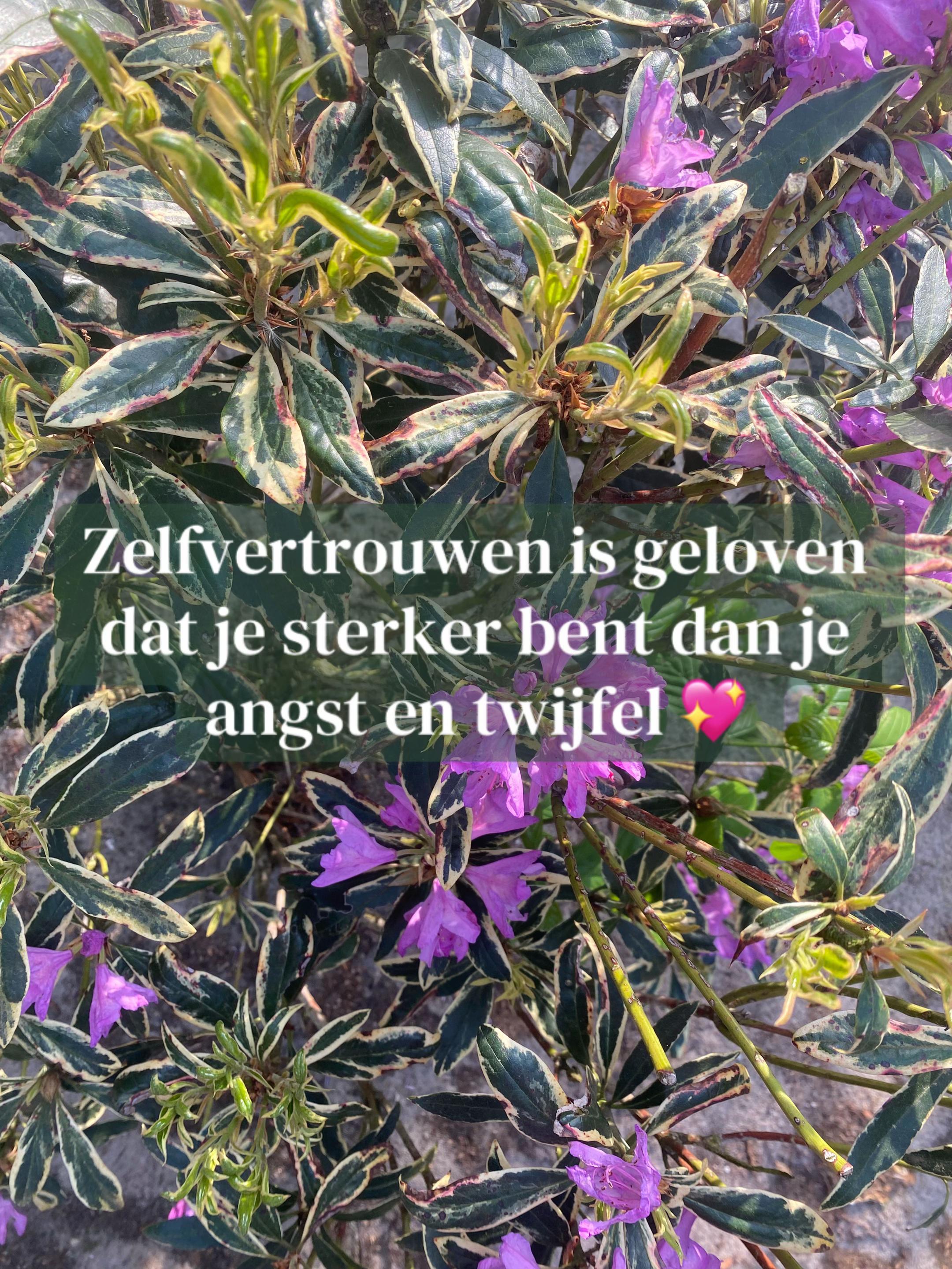 @Marloes.