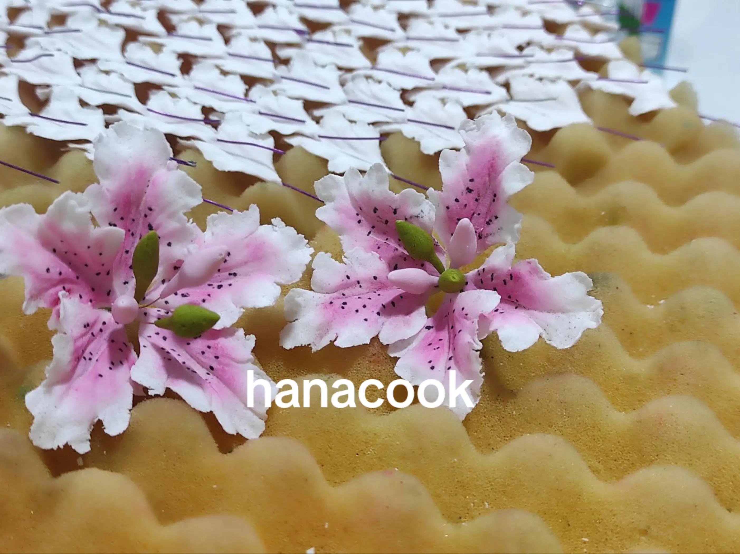 @hanocook