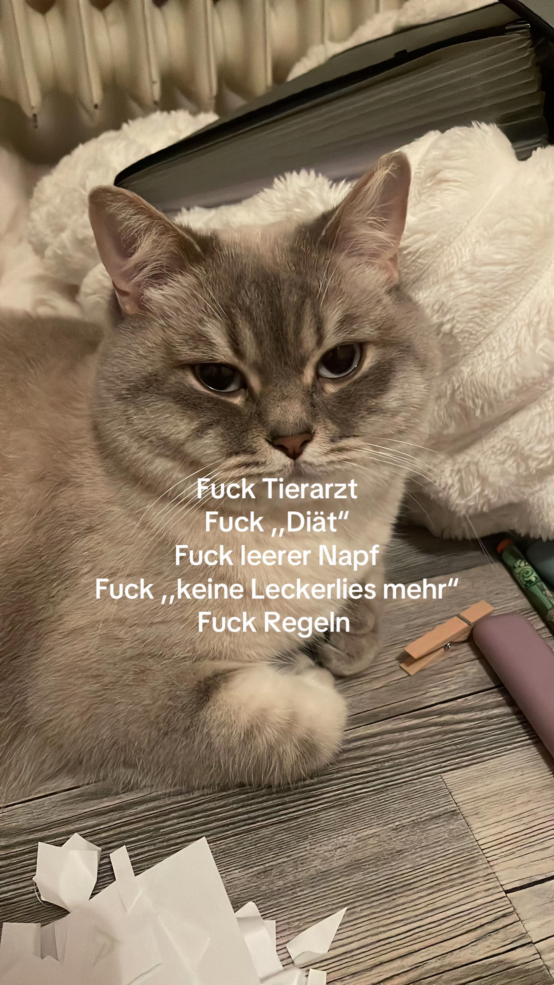 @𝒫ℯ𝓁𝒾𝓃