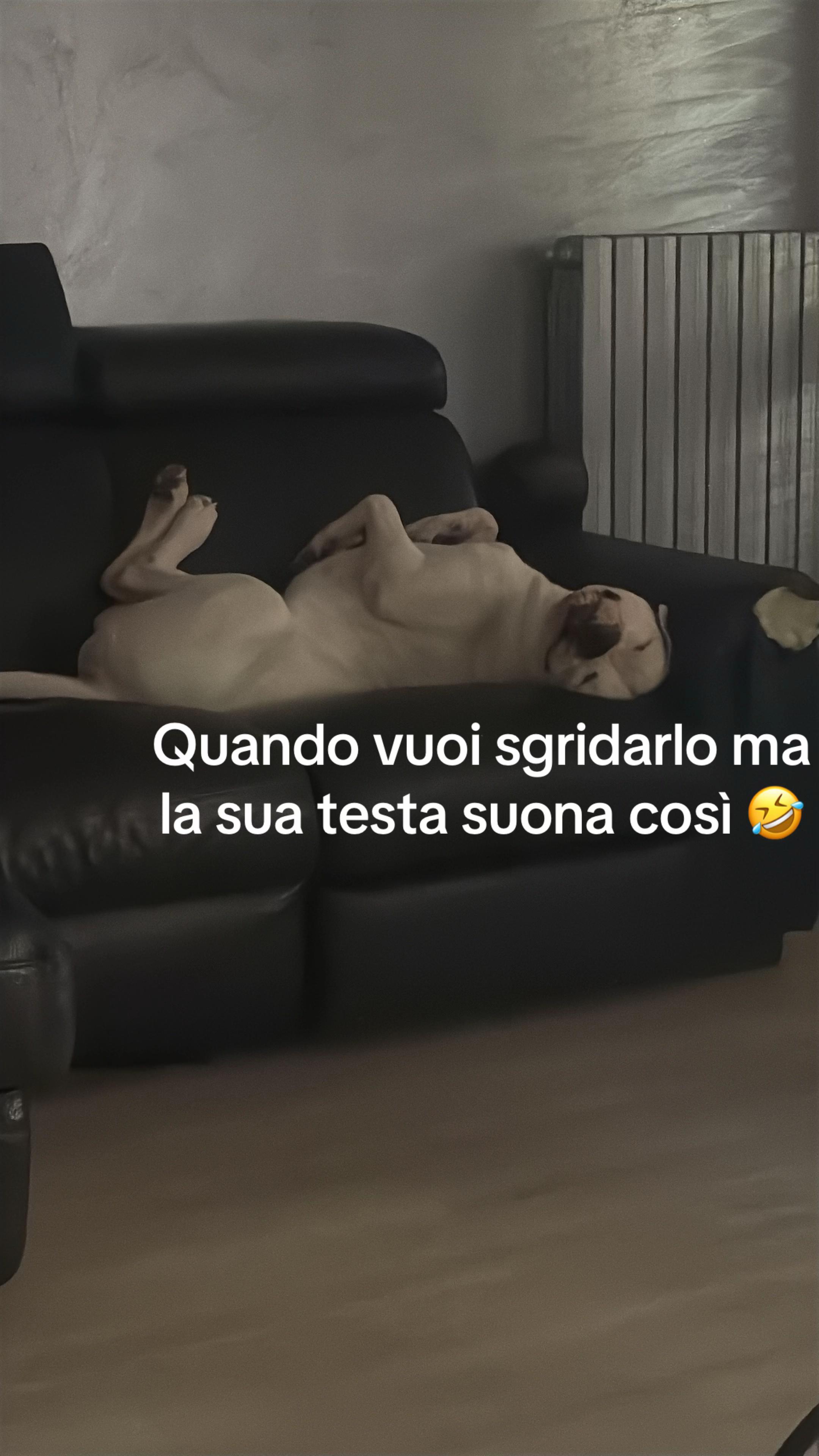 @Trilly&toto