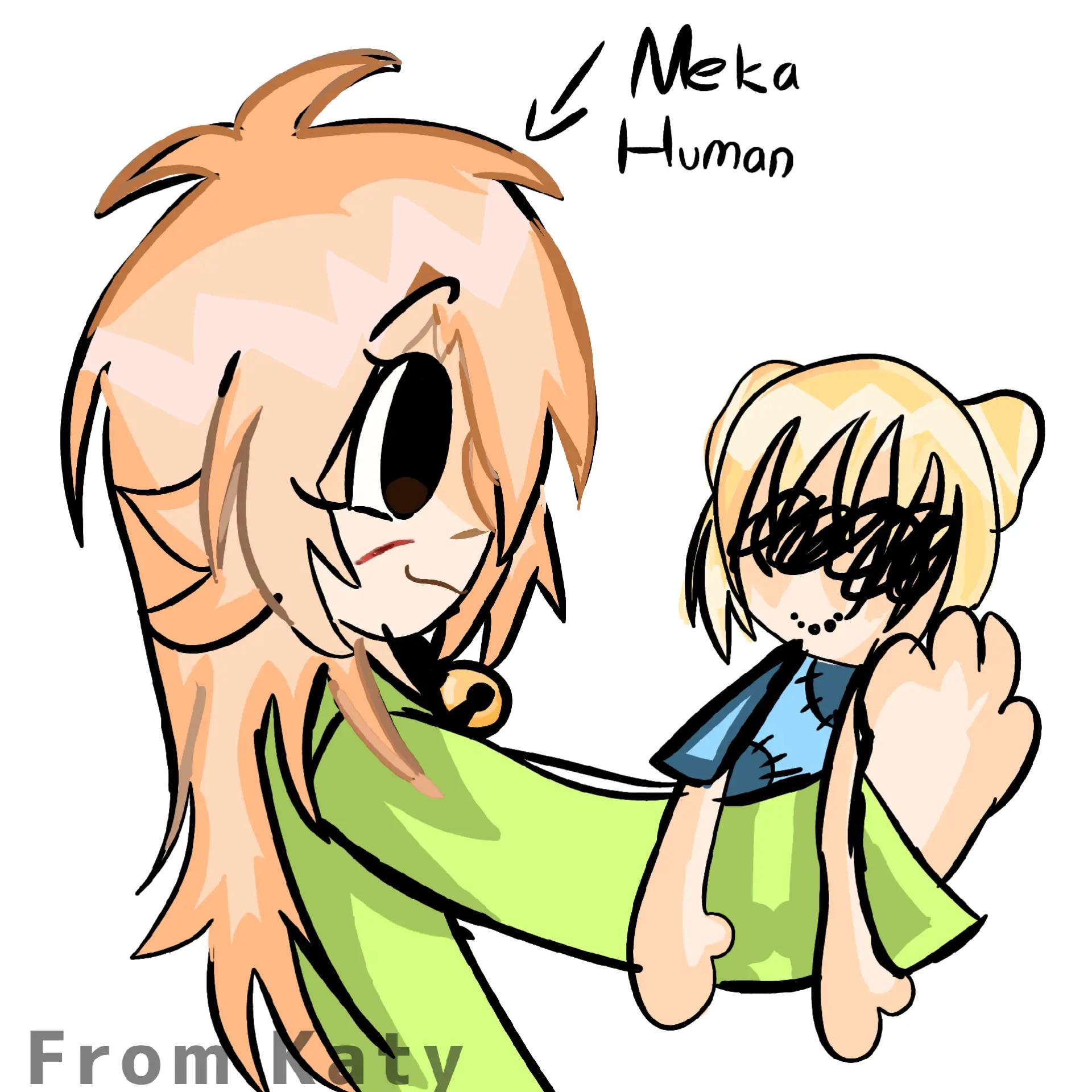 @Meka kit