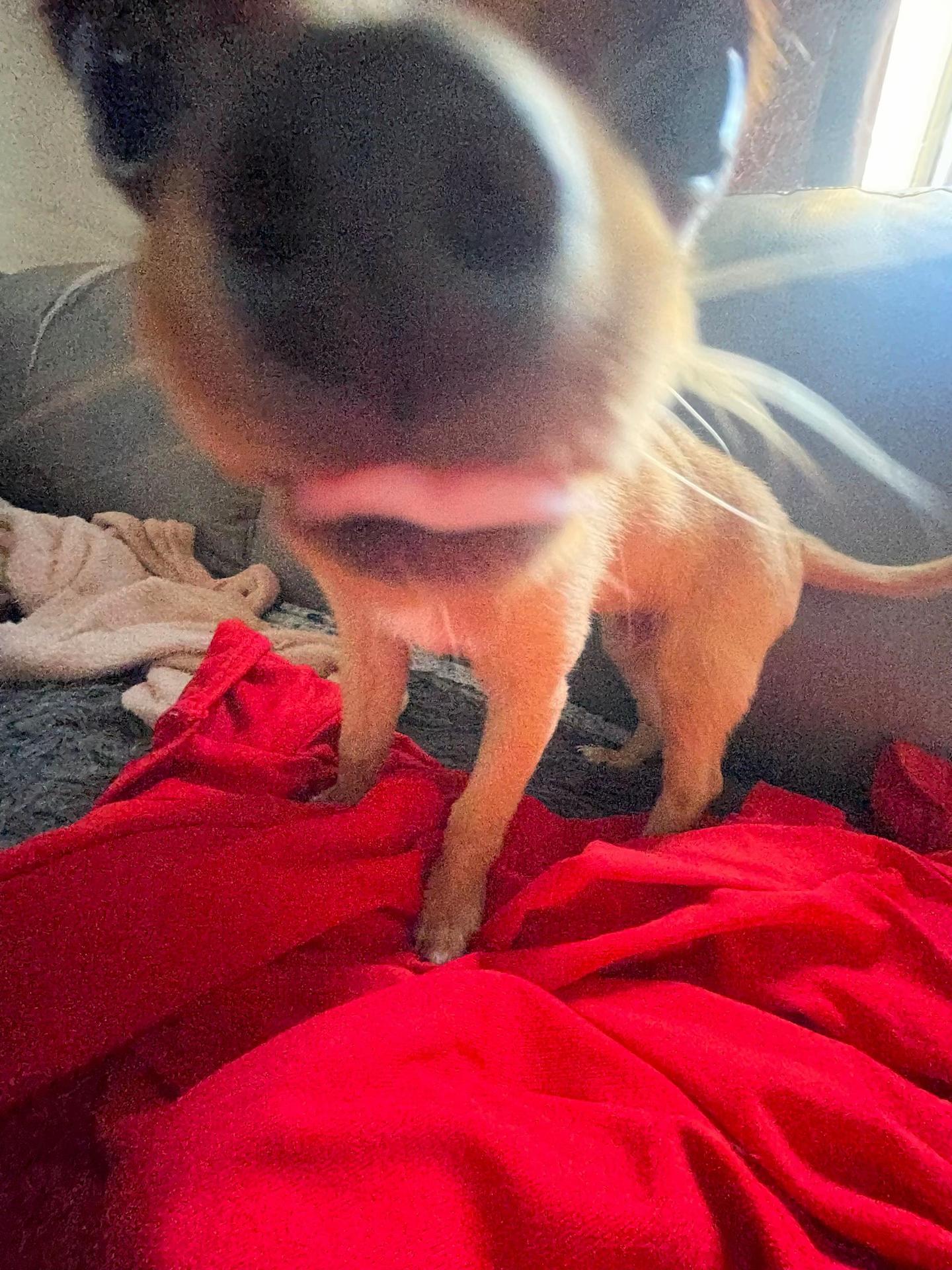 @𝐢𝐭𝐳𝐚🍓