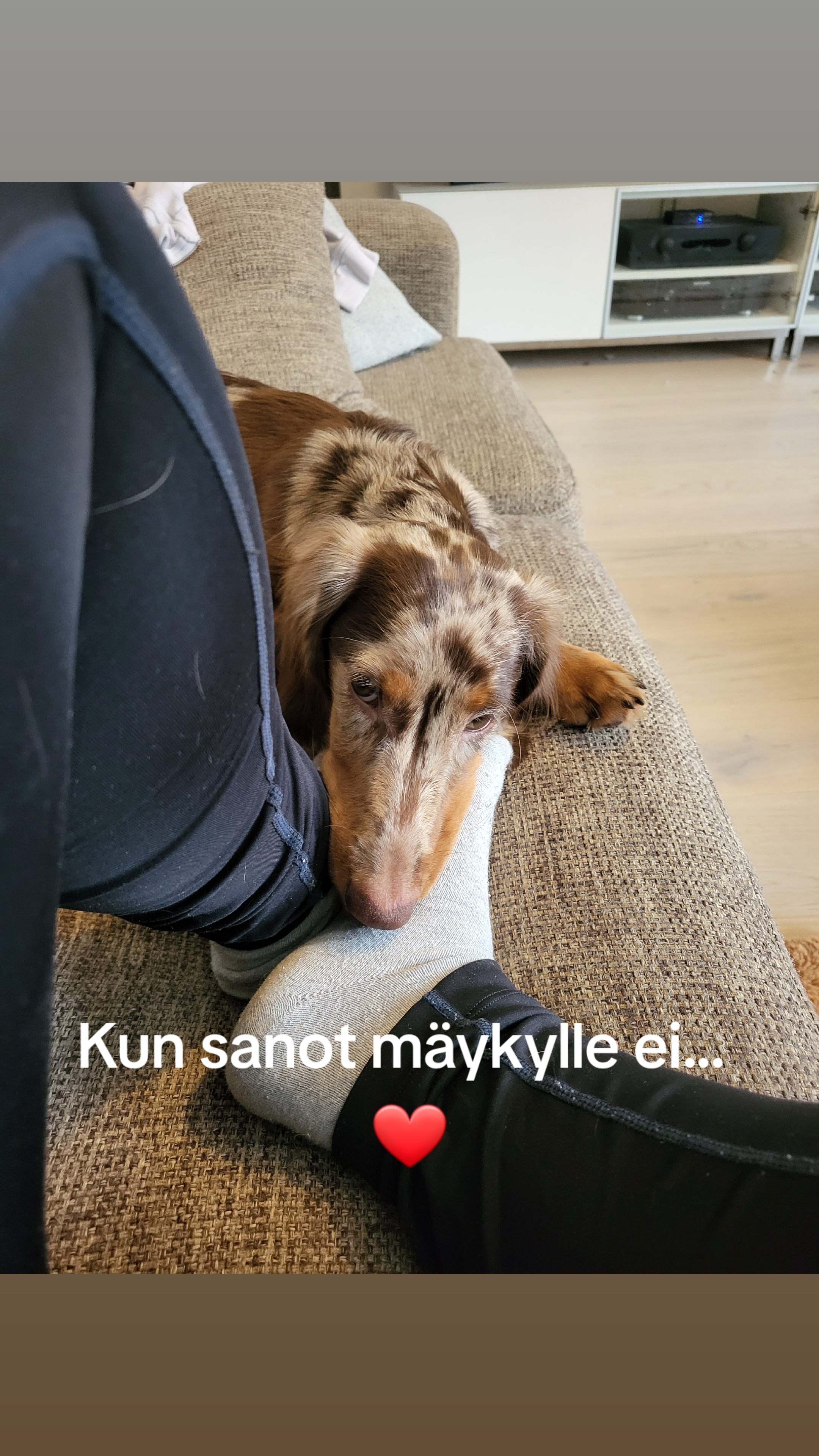 @Sussu H. 🇫🇮🇪🇺