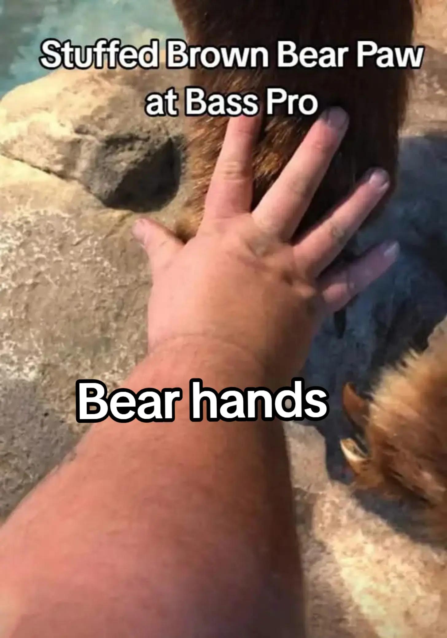 @Swamp Beast