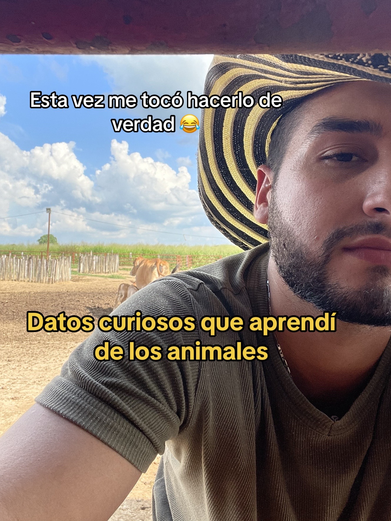 @Luis Fernando Silva 🐎🔥