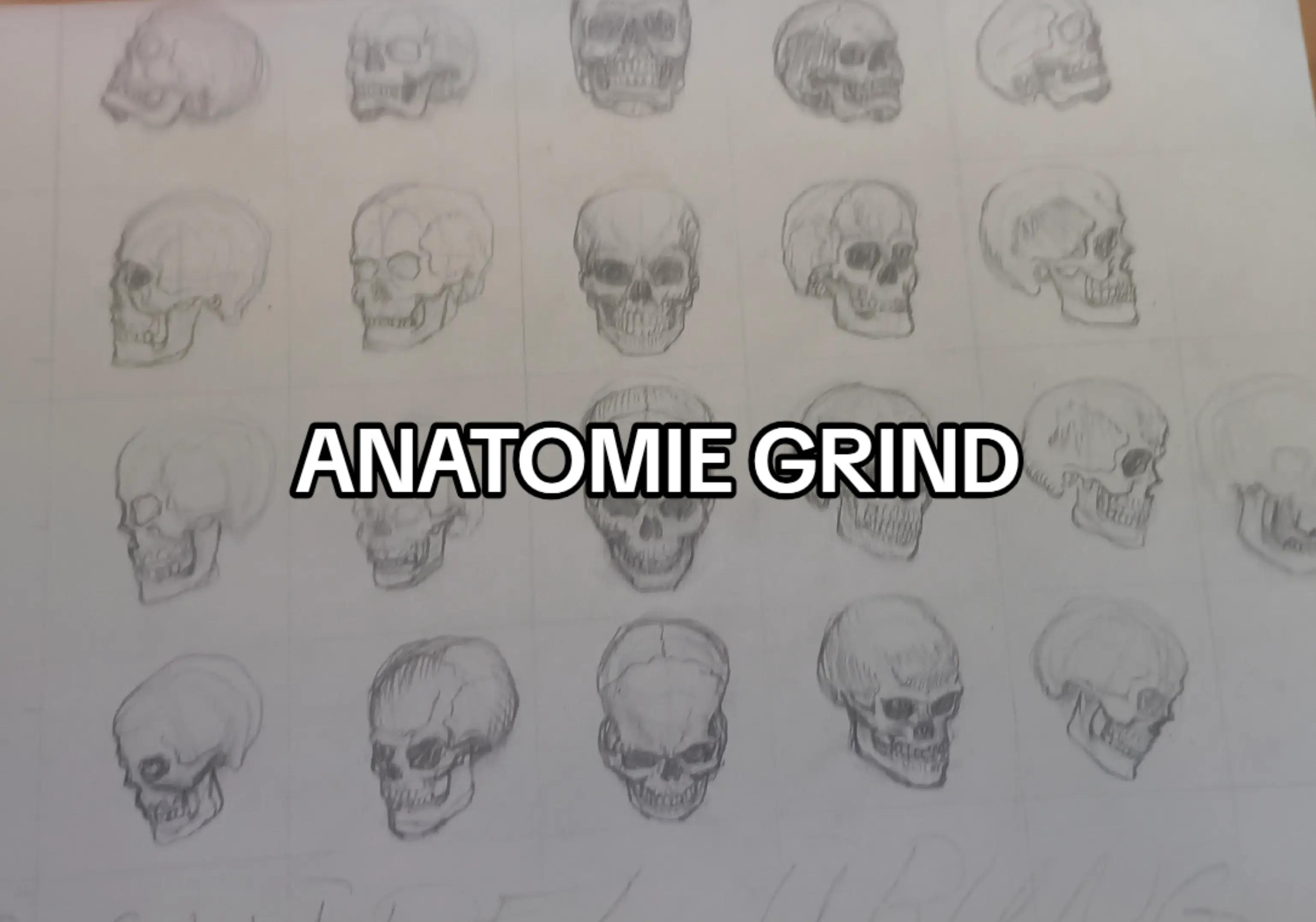 @Honeko💀🇩🇿(骨子)