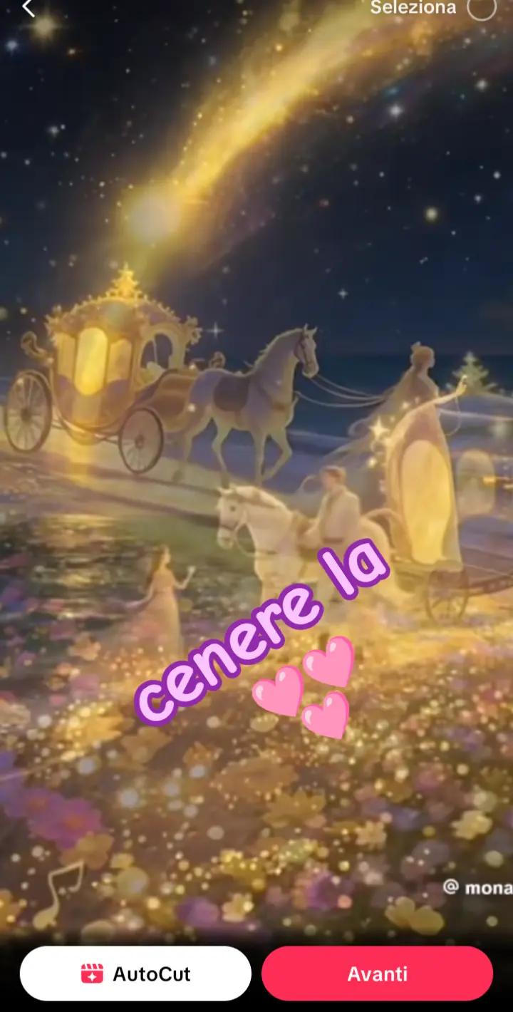 @salva Frenci🩷