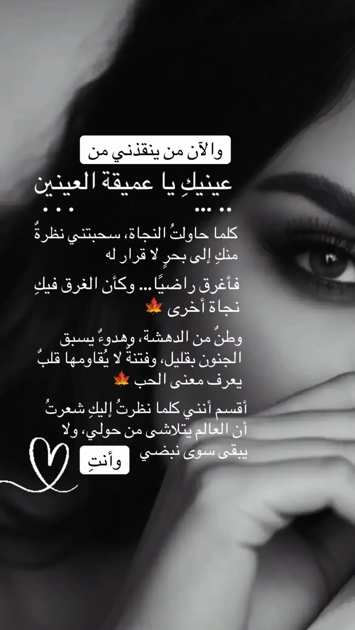 @🕊𓍯 𝒟𝒶𝒻𝒶 𝒜𝓁ℛℴ𝓊𝒽 𓍯 🤍