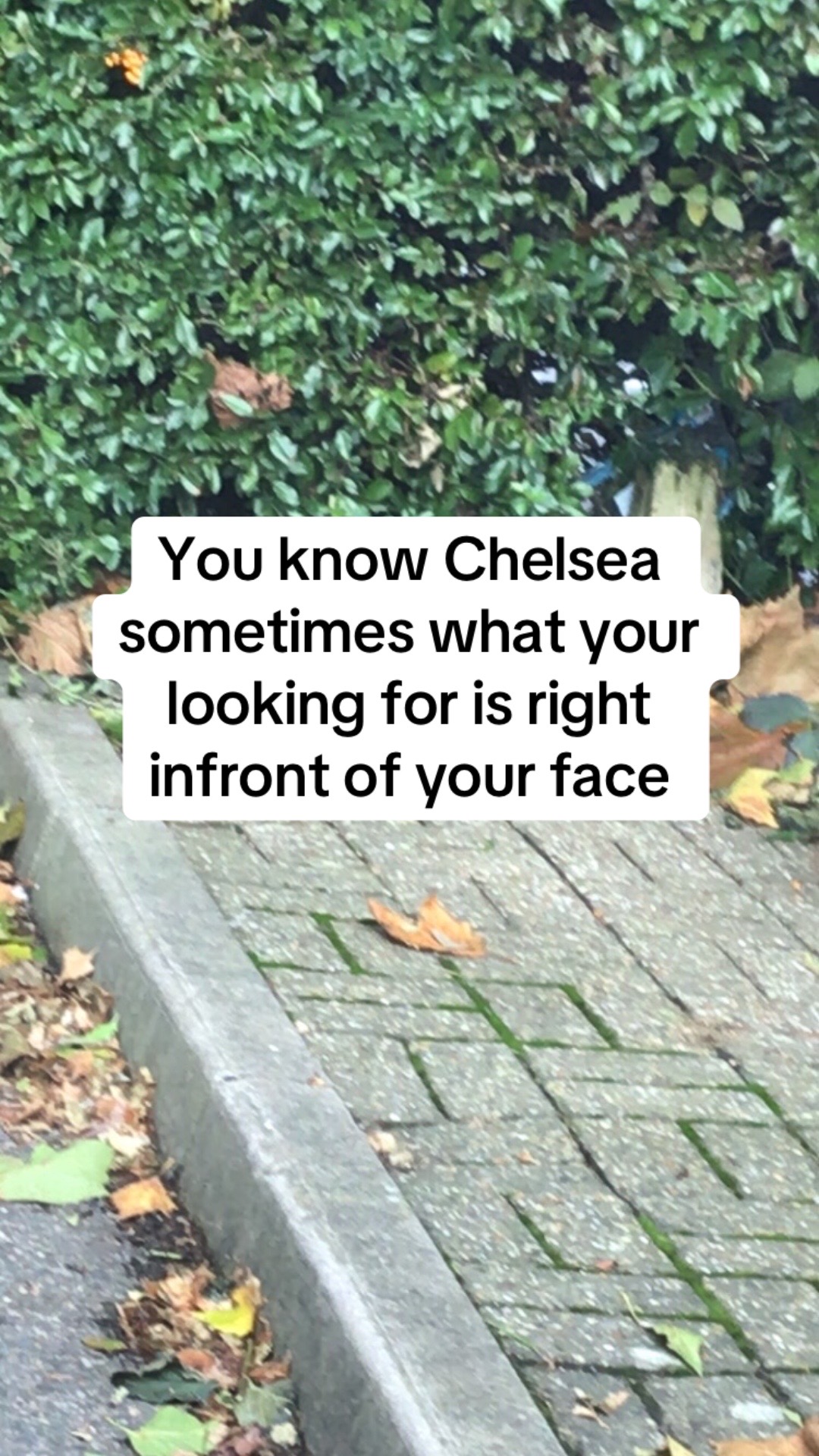 @Chelsea <3