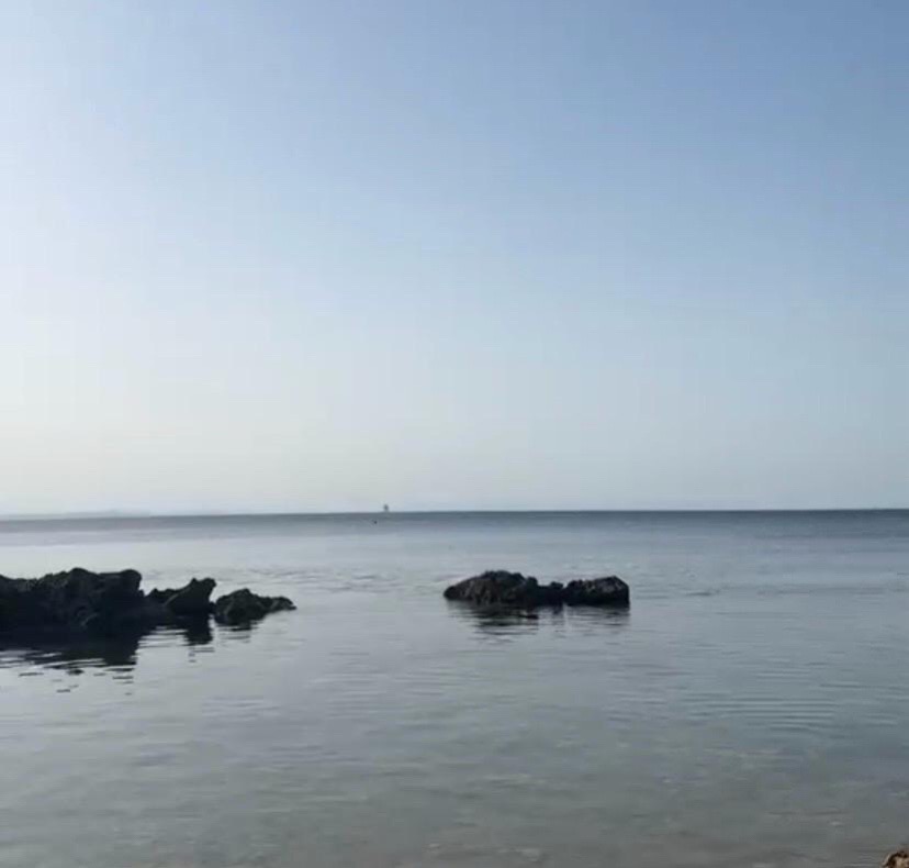 @Francafusaro05