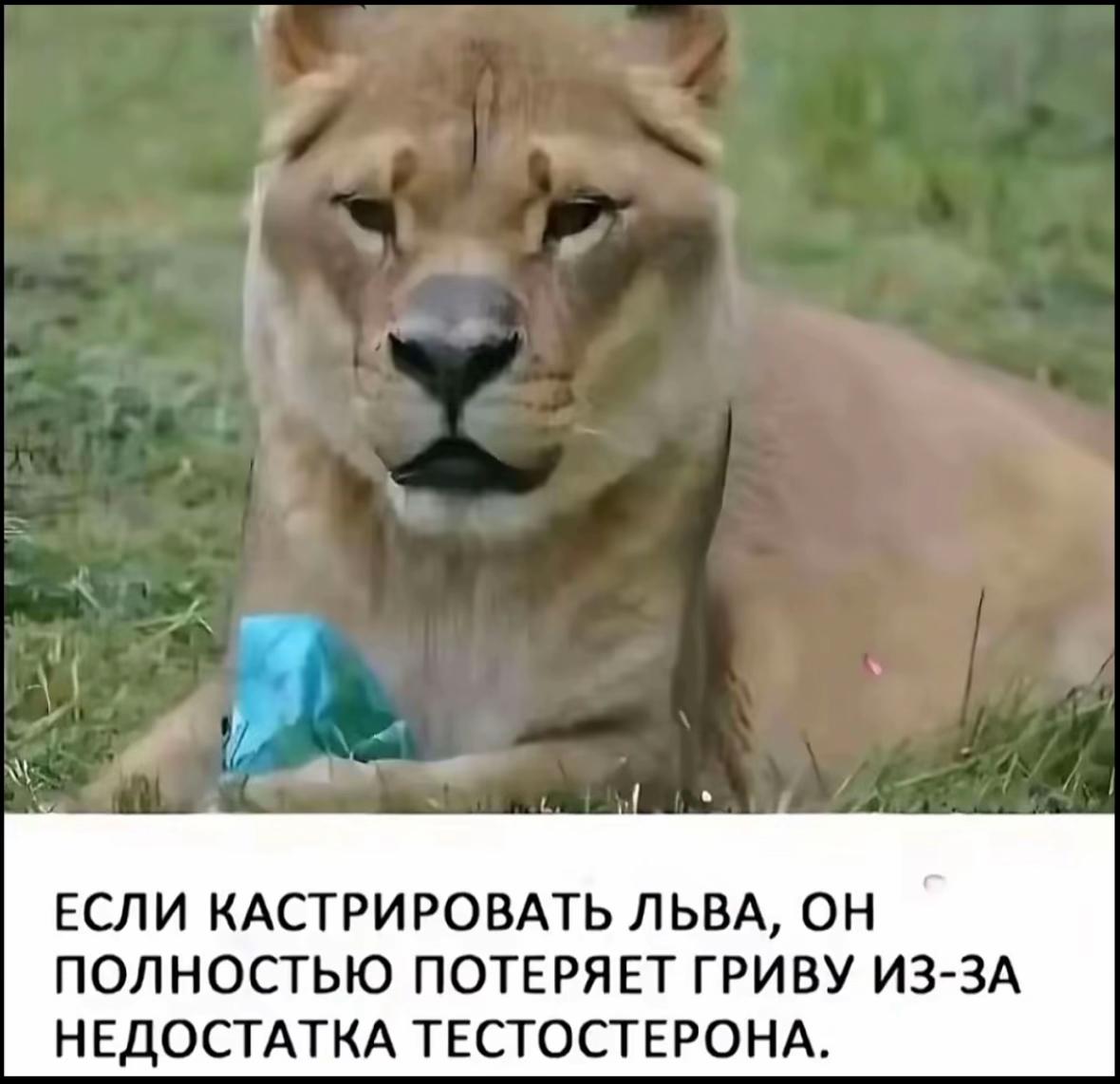 @хз