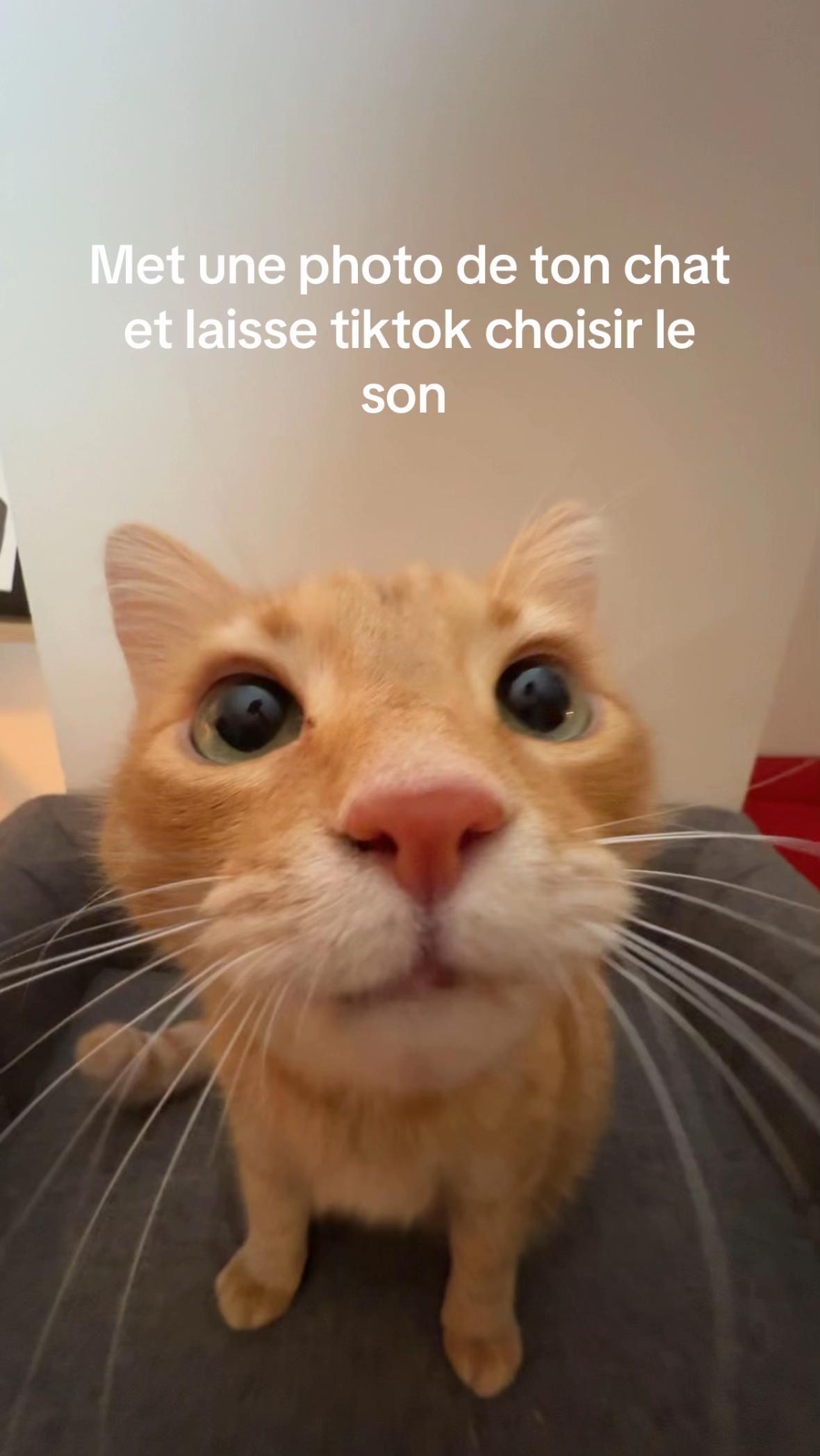 @SUPERMASSIVE