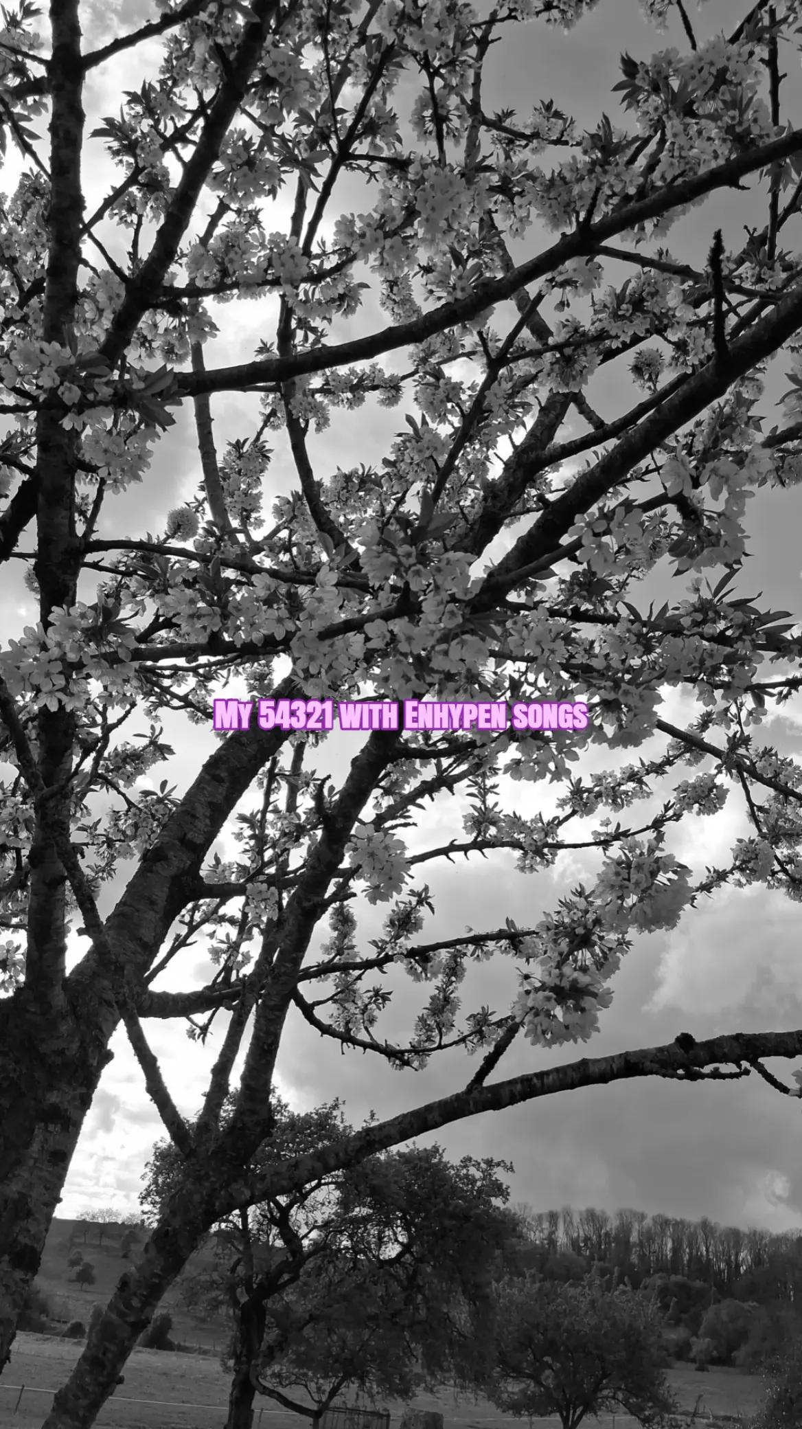 @🥀𝑪&eacute;𝒍𝒊𝒂&sup1;⁰⁰⁹