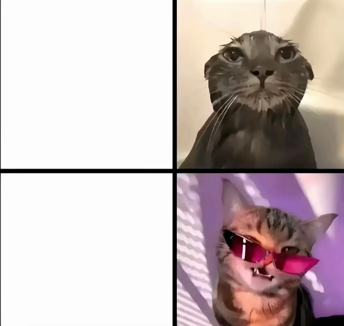 @zmarnowany