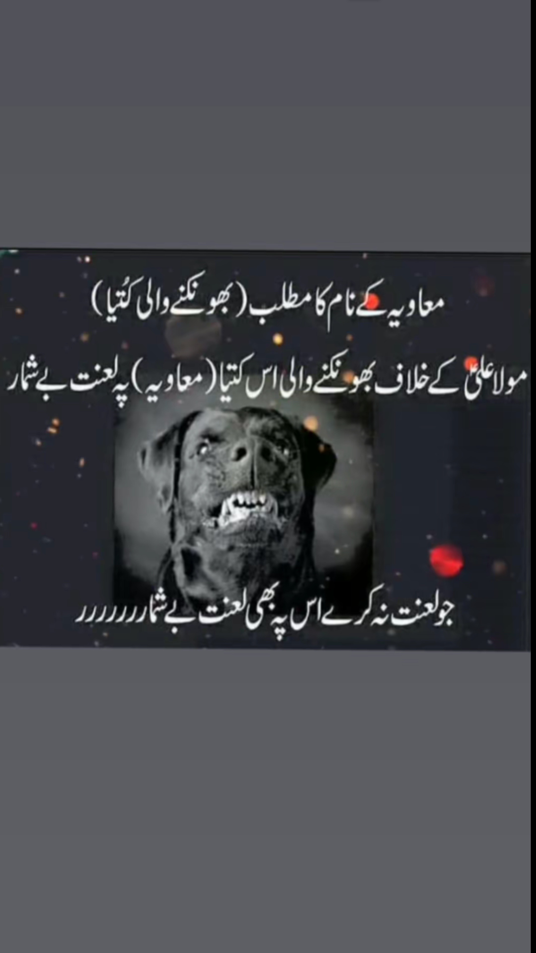@Syeda Batool 🥀