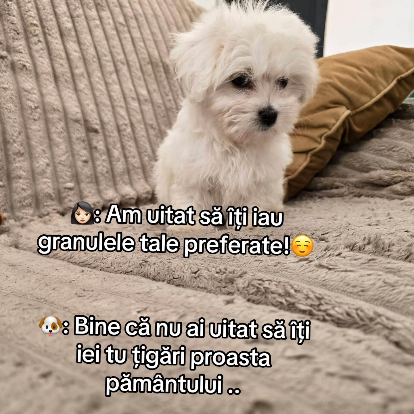 @•🖤•Ålexandra •🖤•
