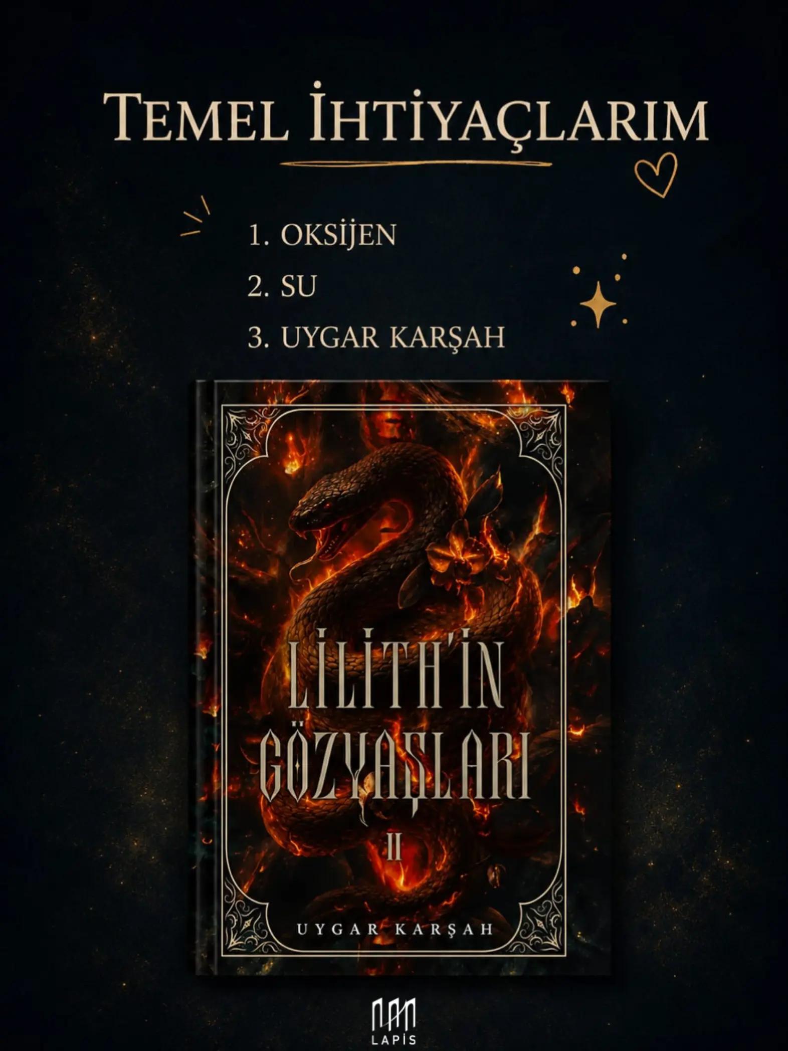 @LAPİS YAYINLARI