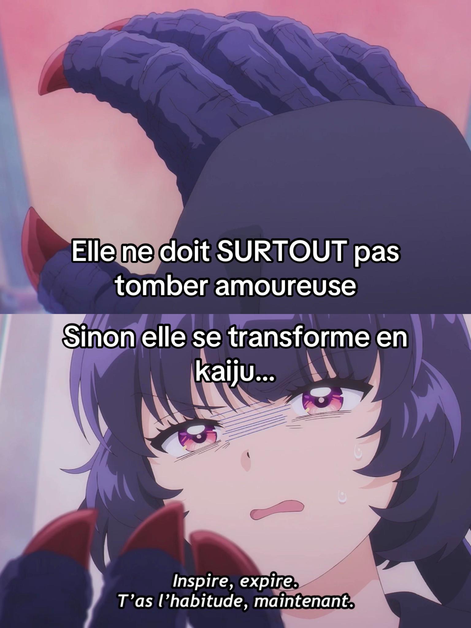 @Animecrew
