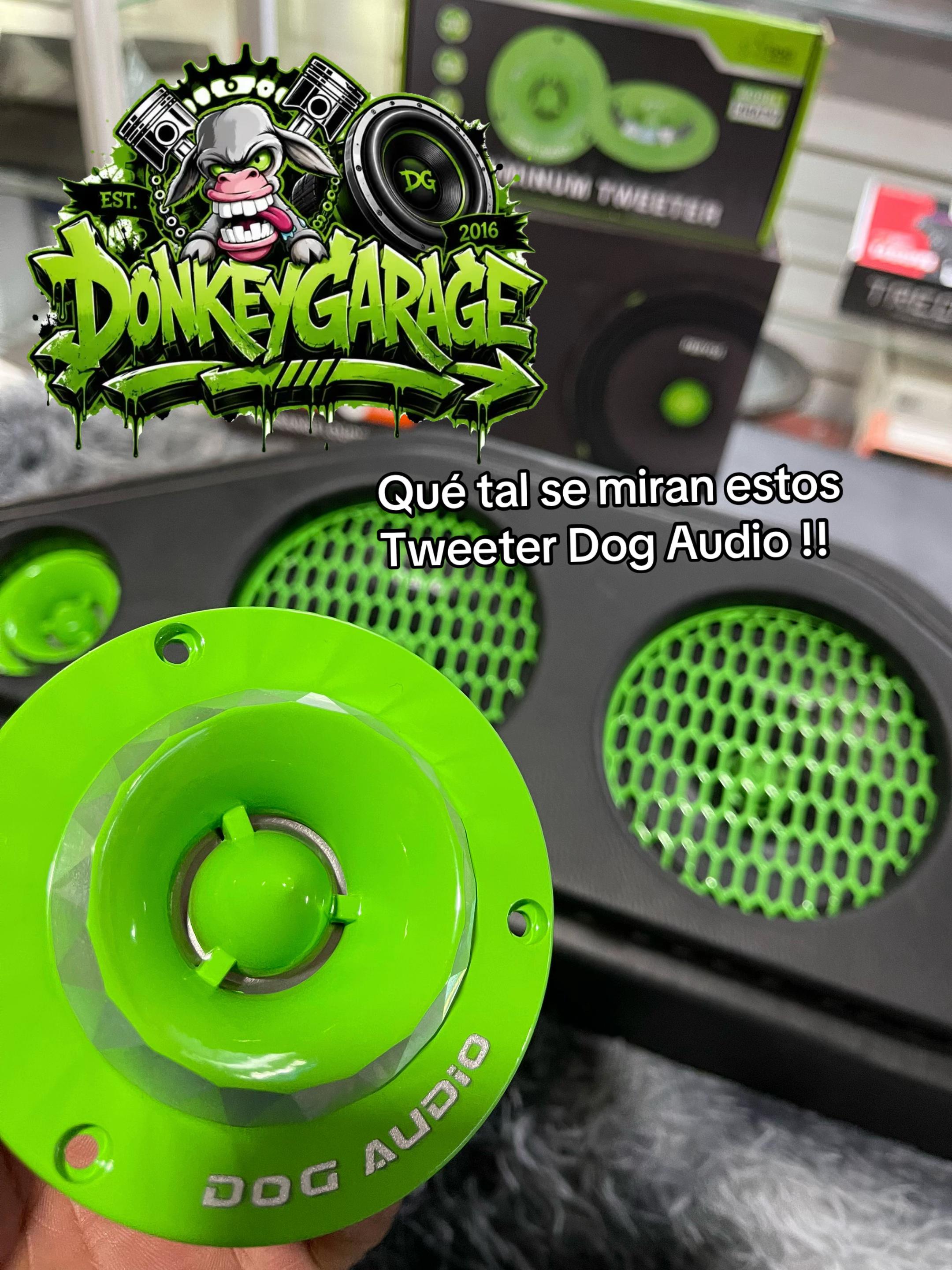 @DonkeyGarageCustomAudio🔊🔥