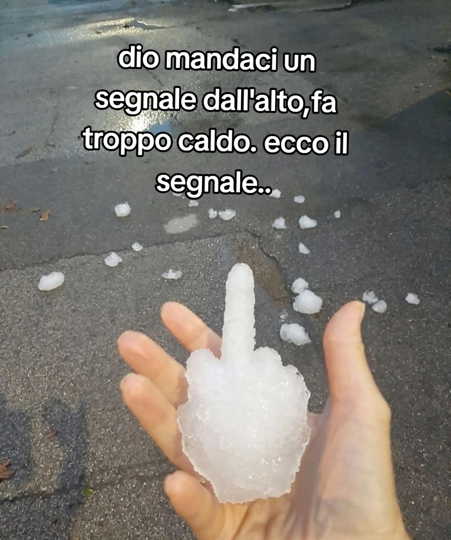 @ciropugliese379