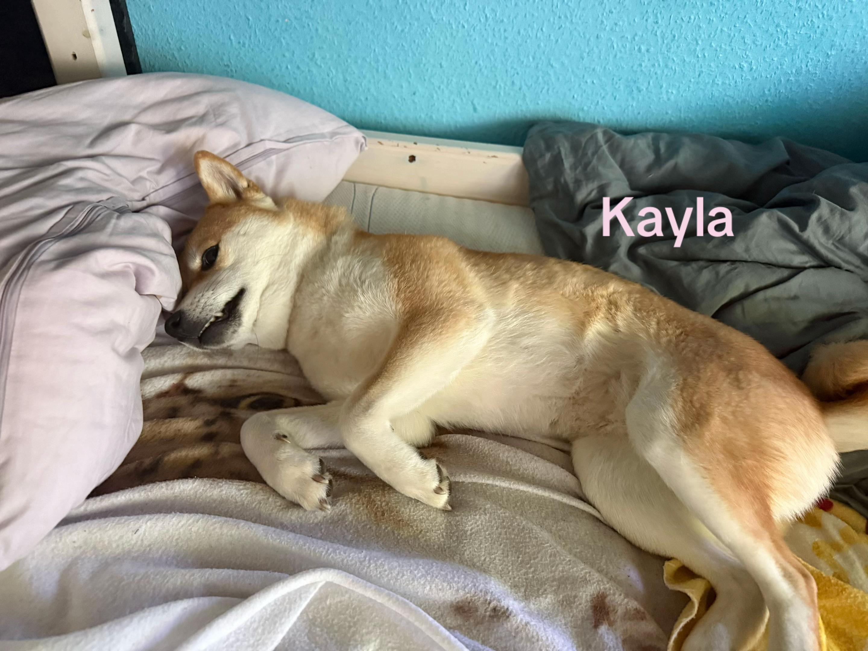 @Kayla