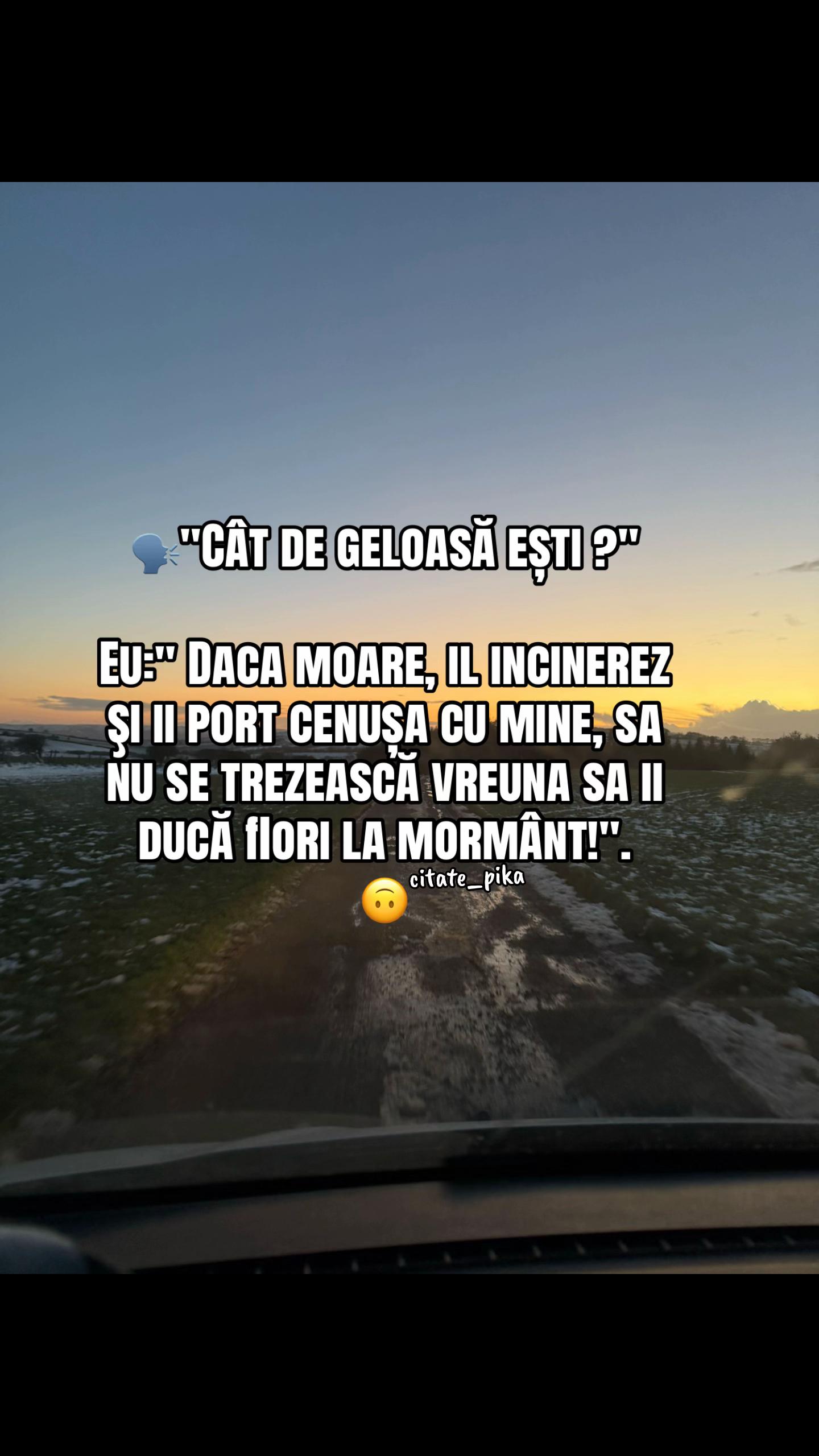 @citate_pika