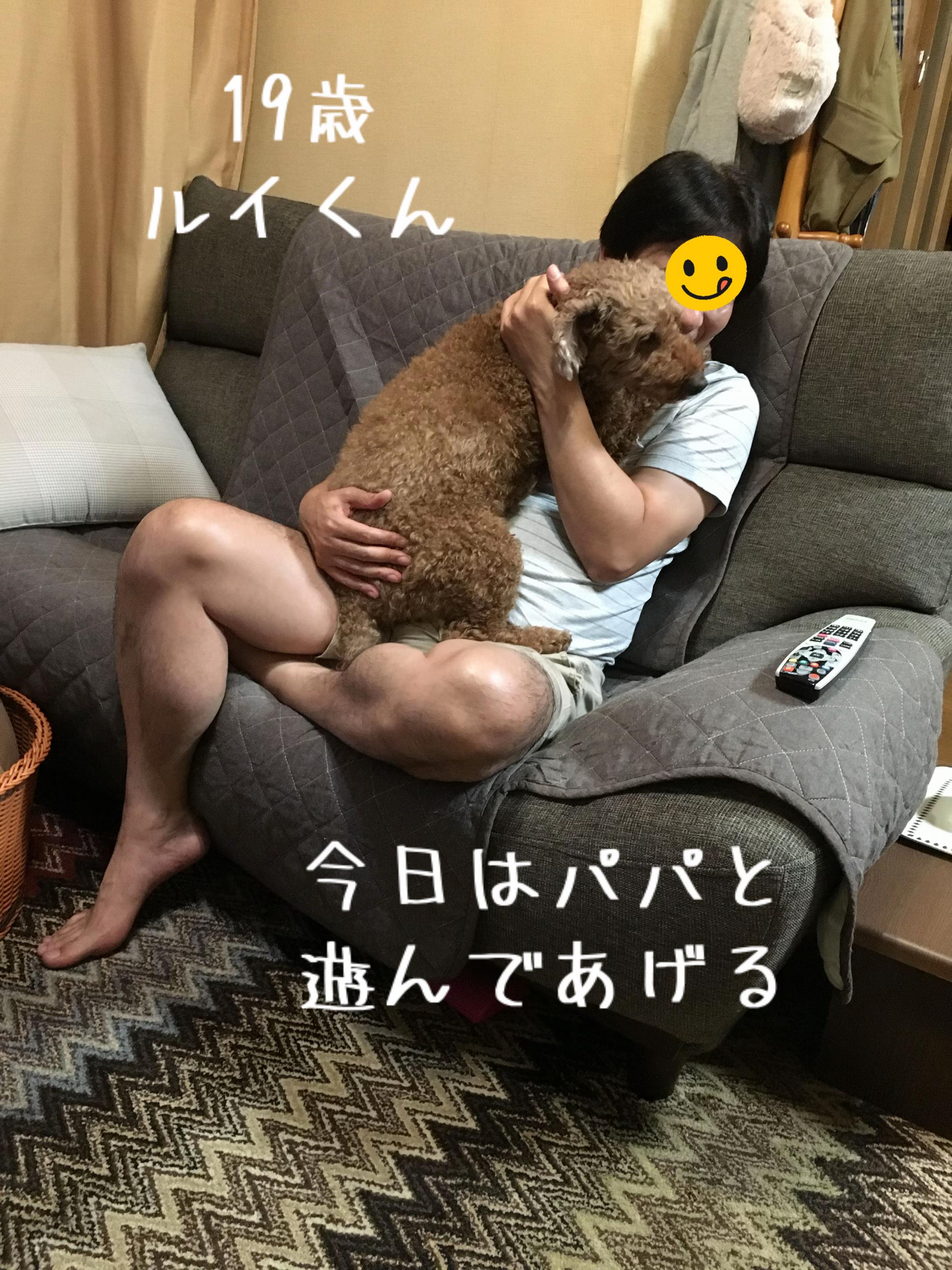 @ルイママ