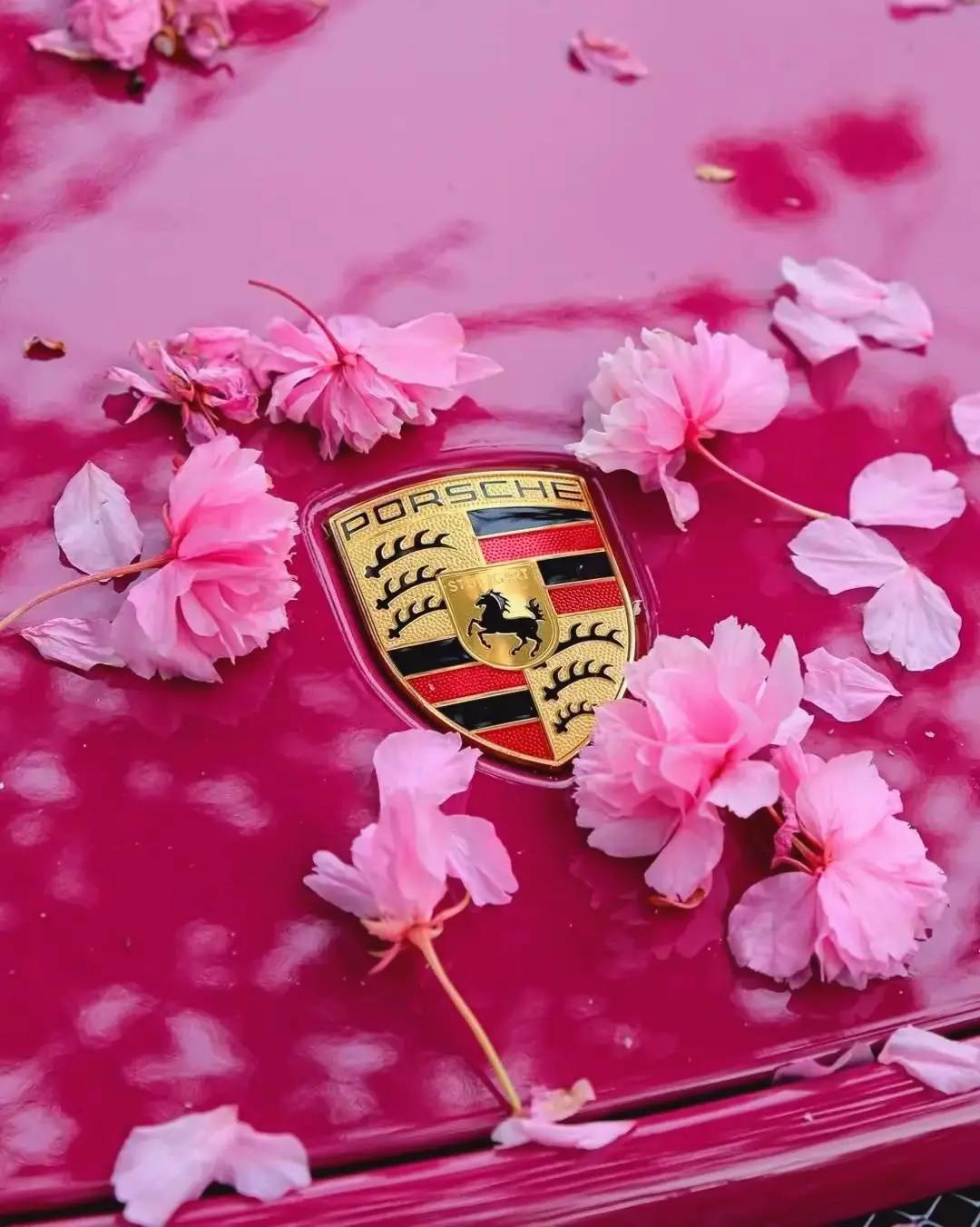 @Car lifestyle