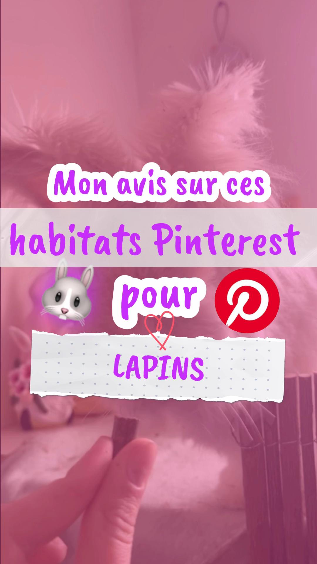@Mes lapinouchs 🐰